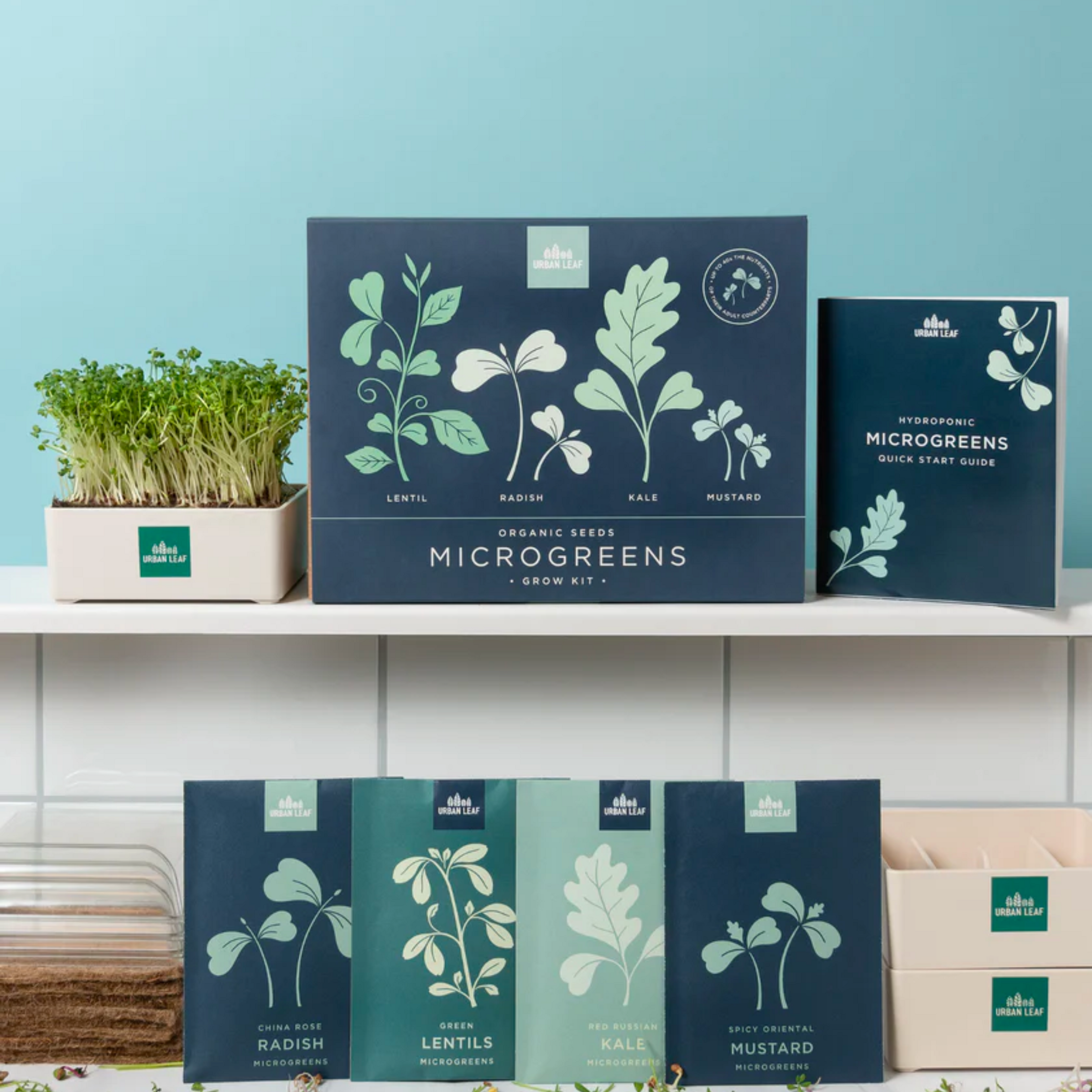 Windowsill Microgreens Kit