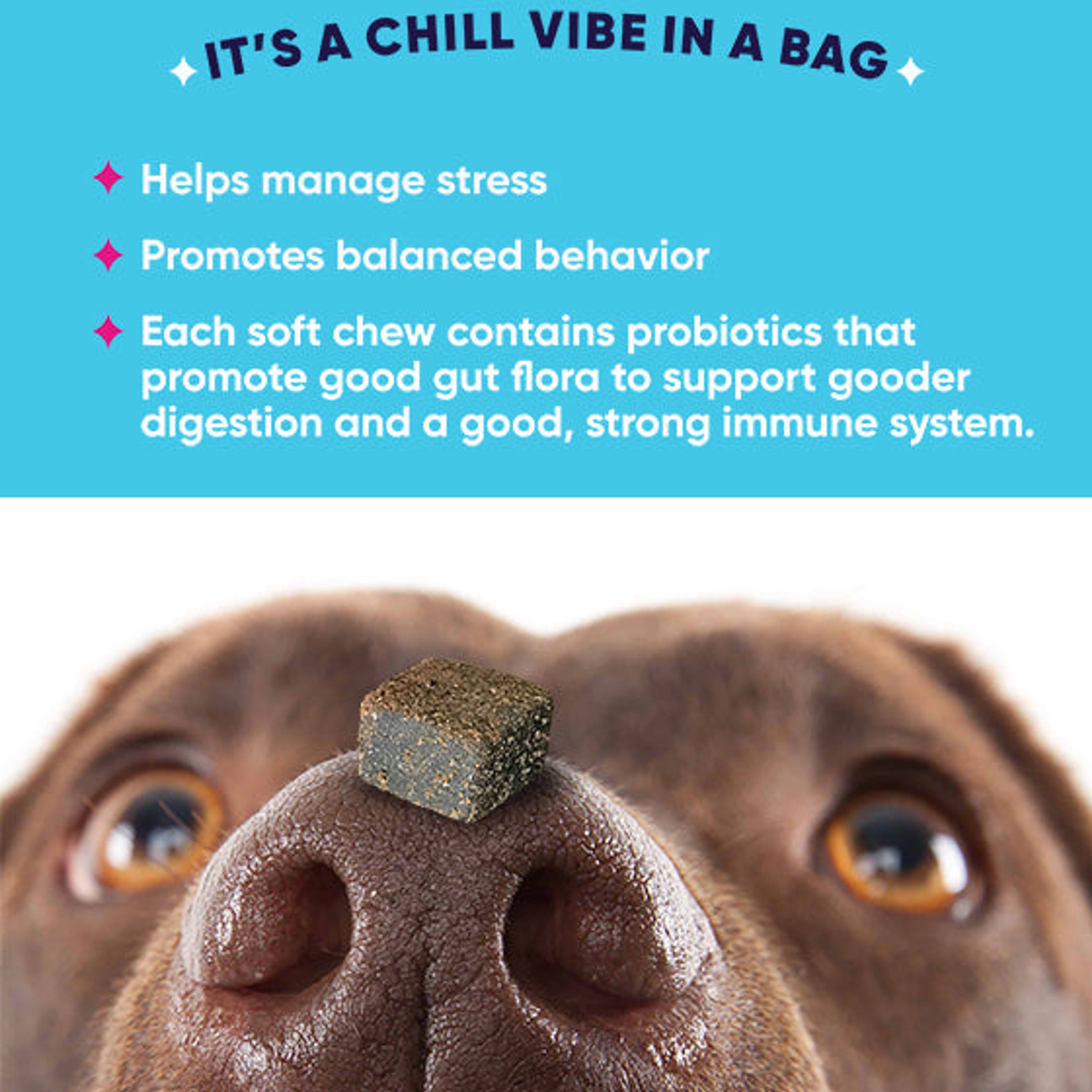 Chill Out  Vegan Chew for Fast-Acting, Instant Stress Relief* – Prima