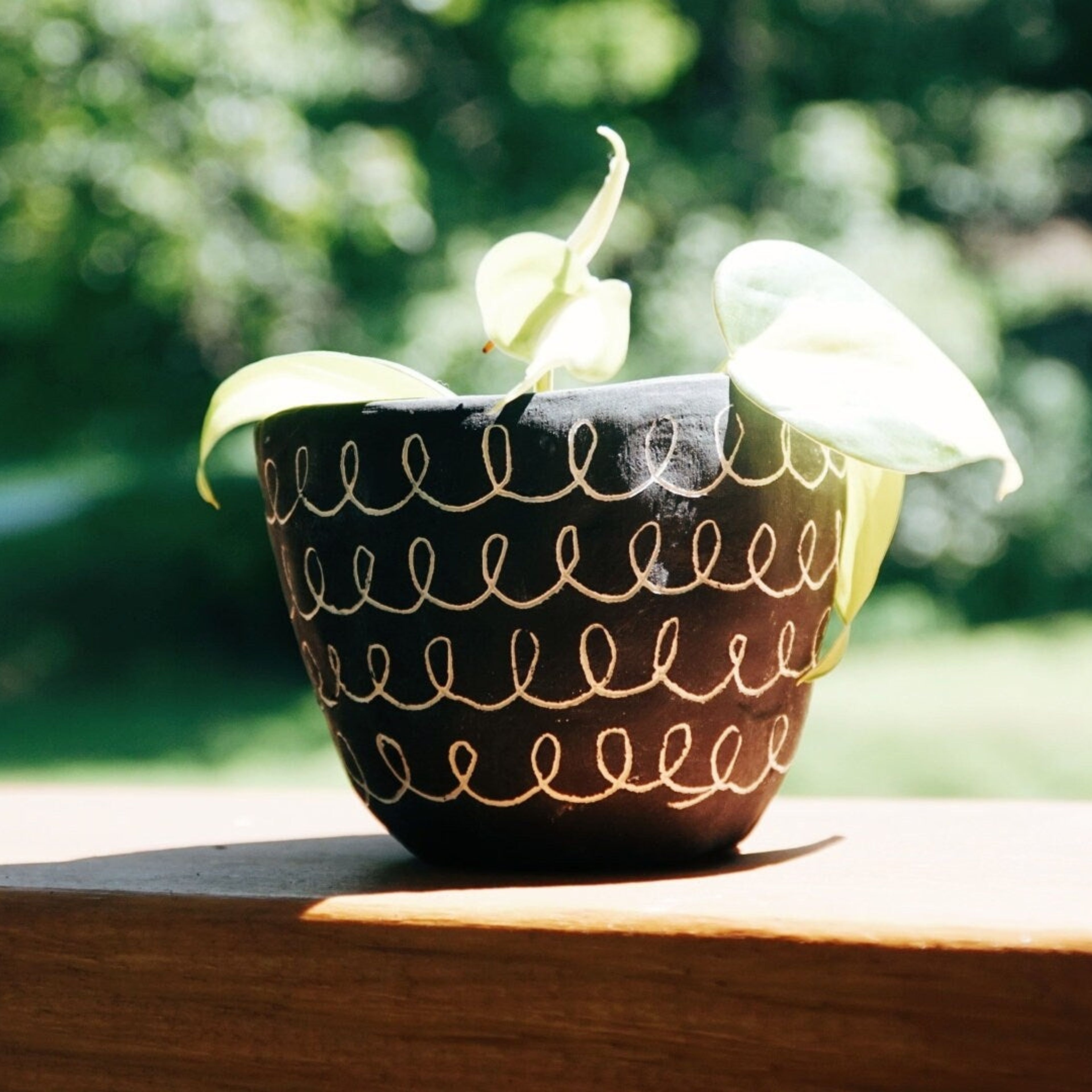 Black & White Earthenware Mini Planter w/ "Curly" Design - Succulent Planter - Small Plant Pot - Propagating Planter - Seedling Pot