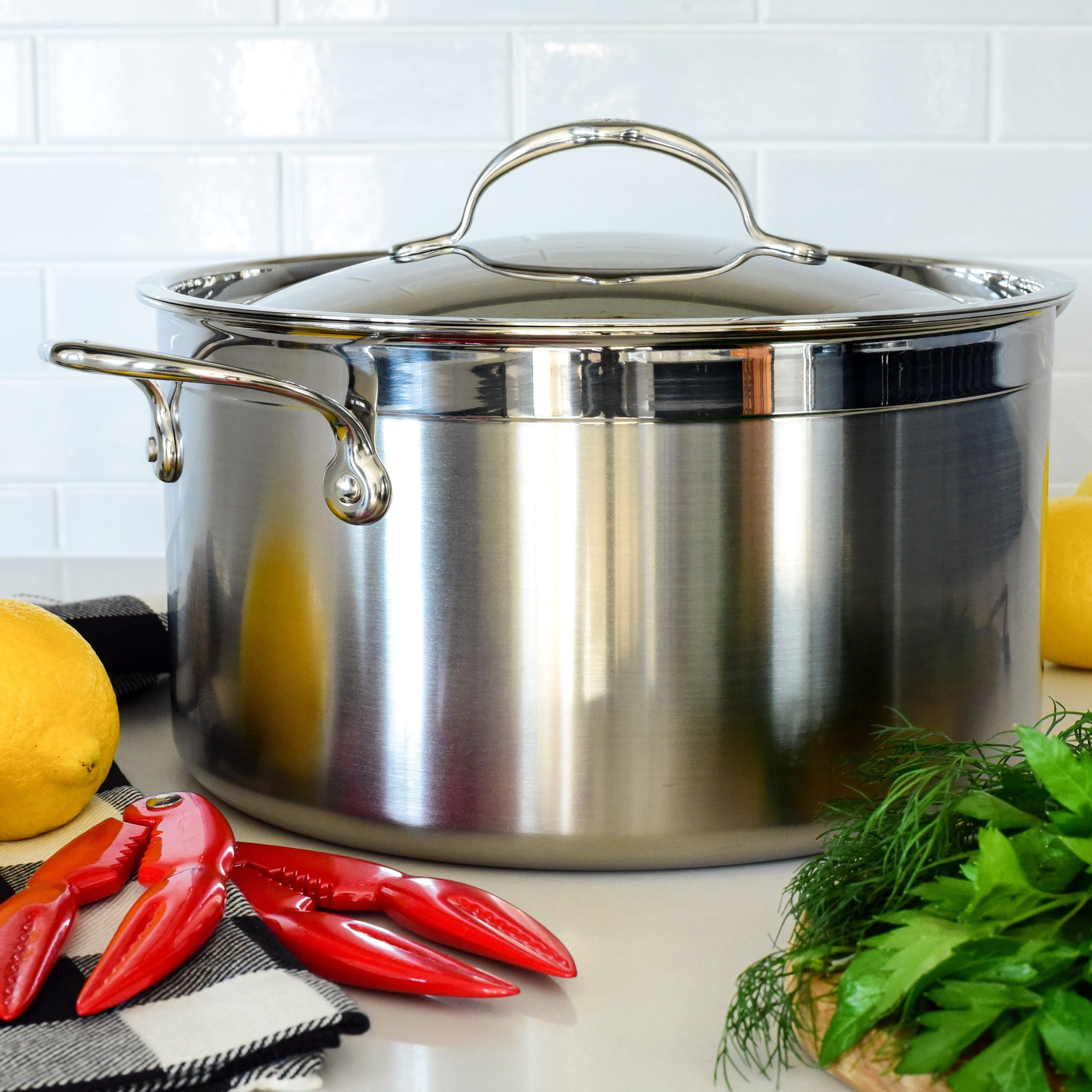 Professional Clad Stainless Steel Stockpot, 8-Quart