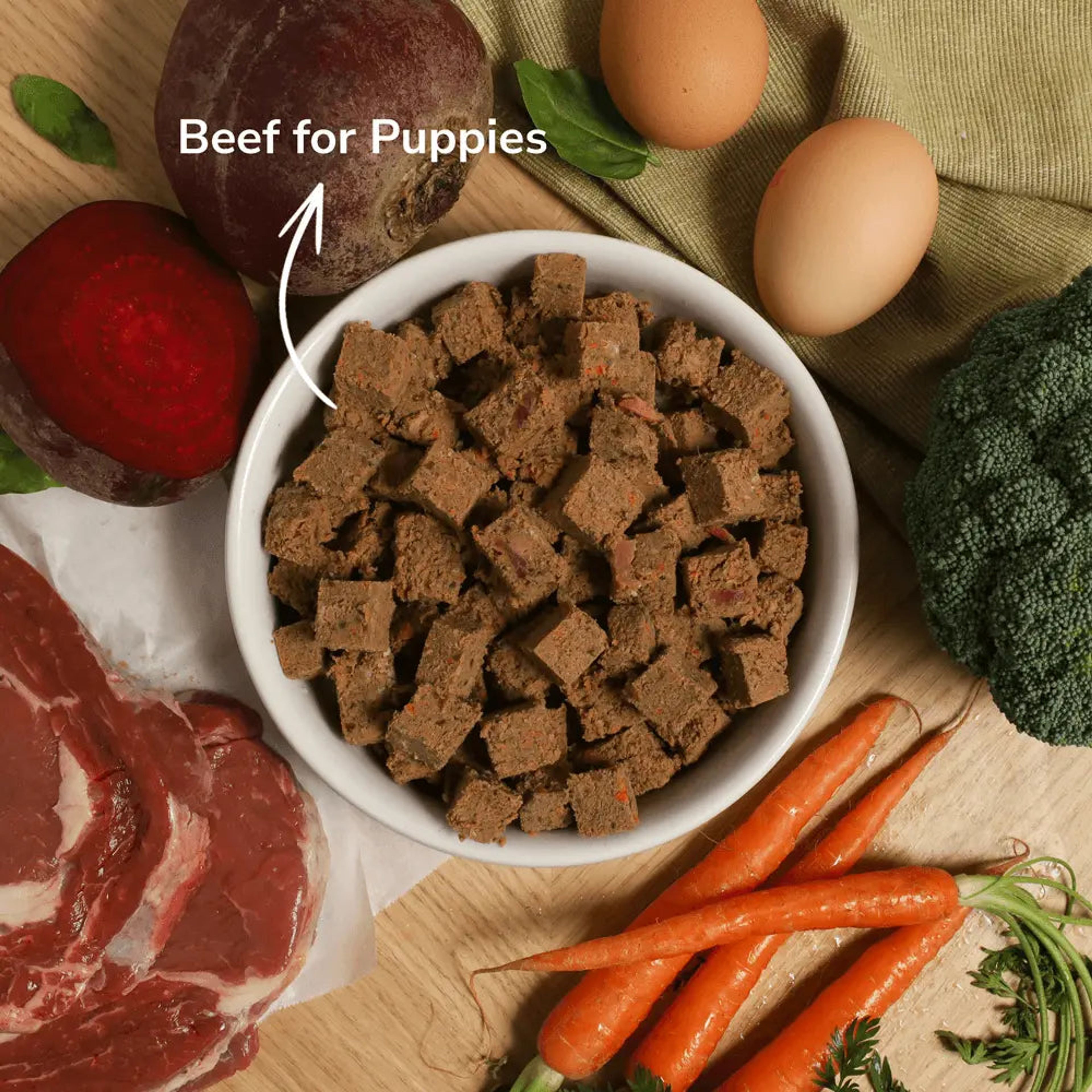 Puppy Taster Pack - Beef