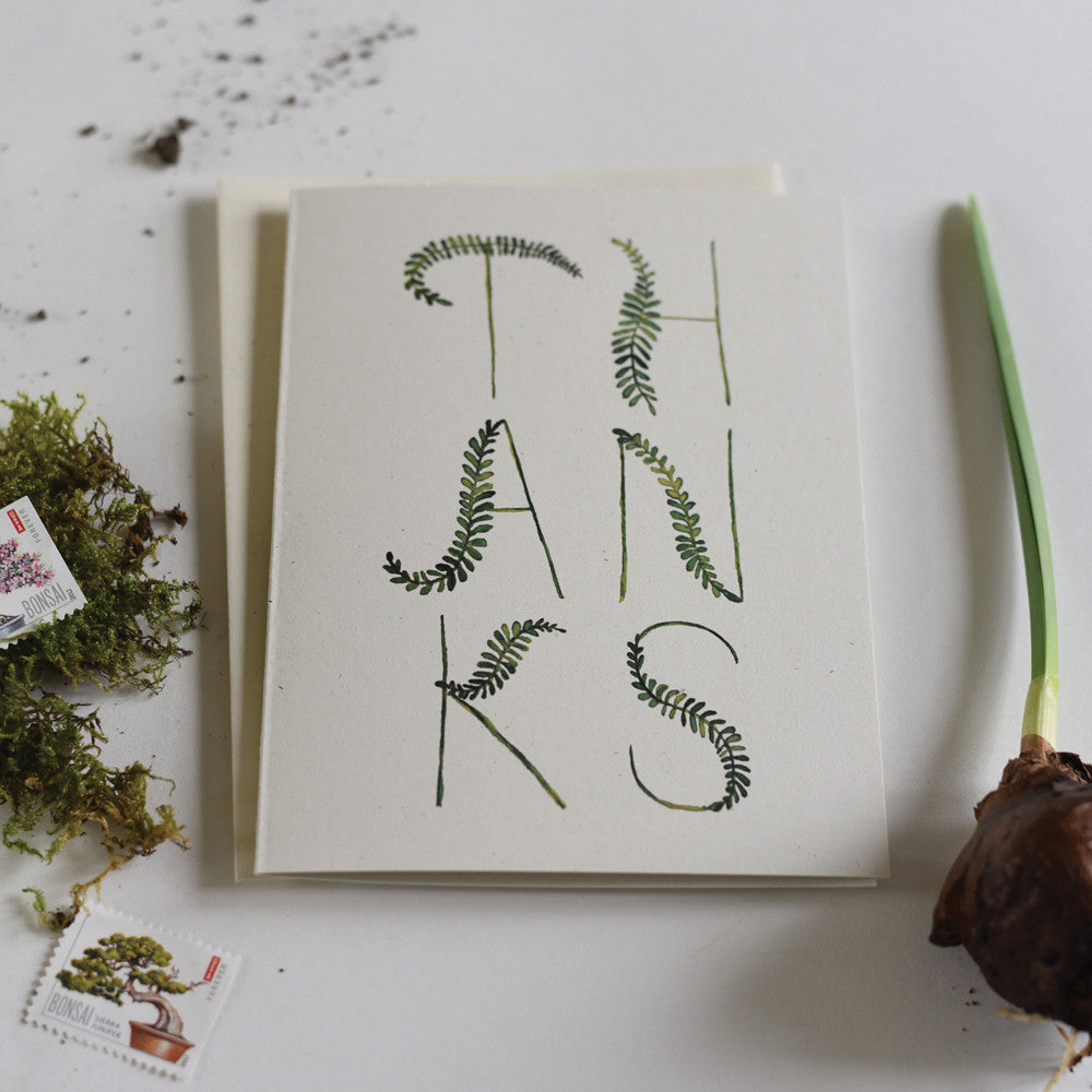 Fronds Thank You Boxed Set