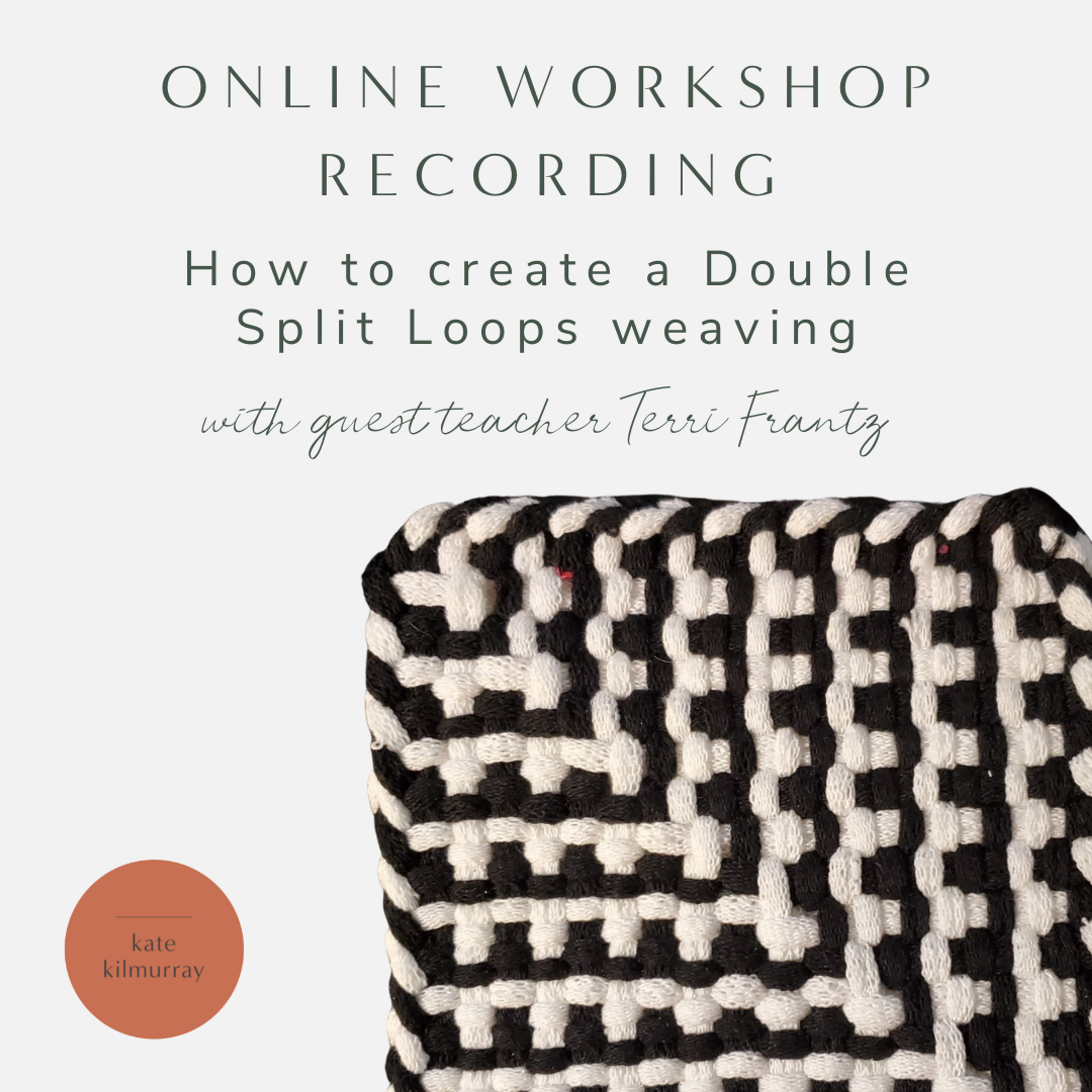Workshop Recording - How to Create a Double Split Loops Weaving - with Terri Frantz