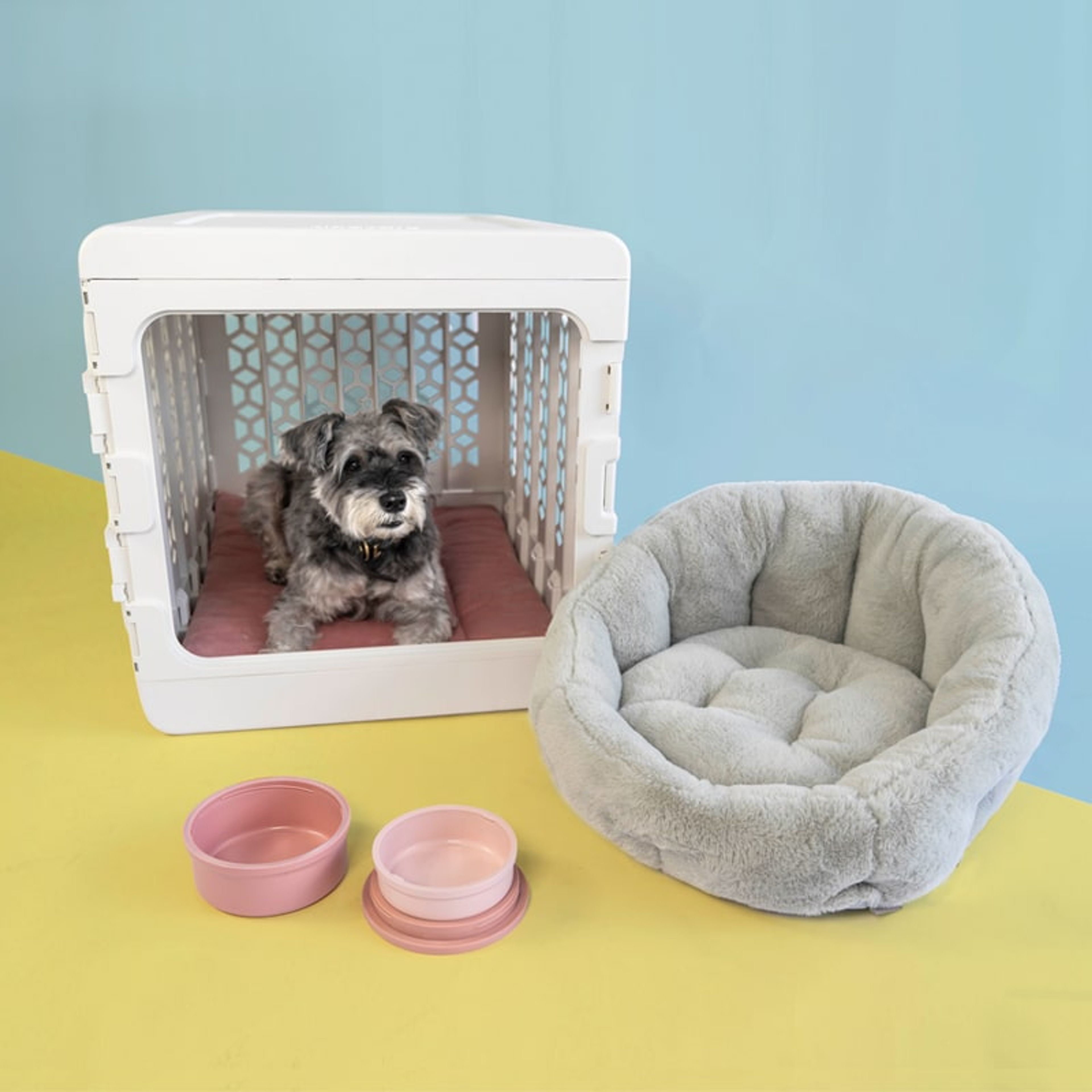 Puppy Training Bundle PAWD | Modern Collapsible Plastic Dog & Pet Crate