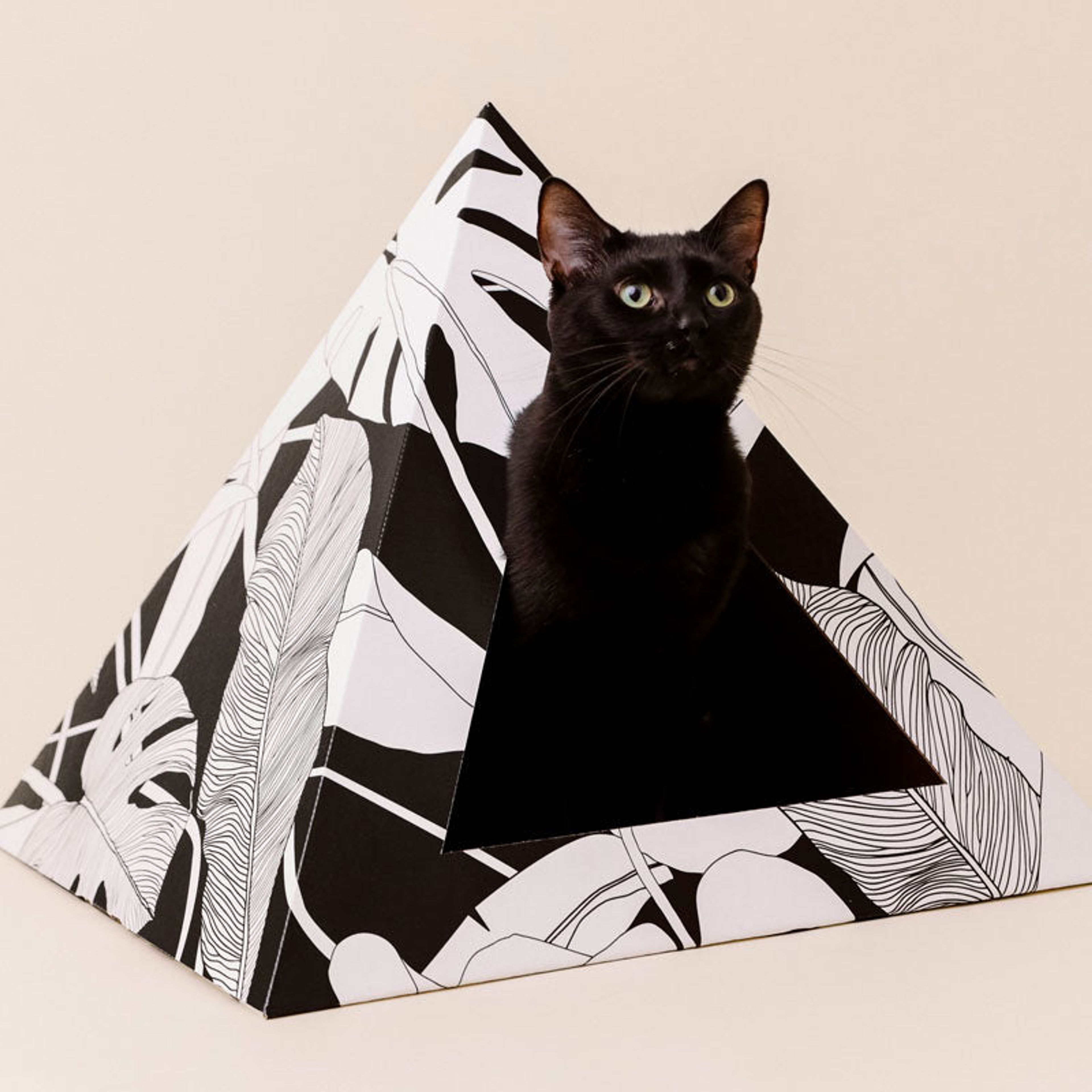 'Dark Paradise' Cardboard Cat Pyramid