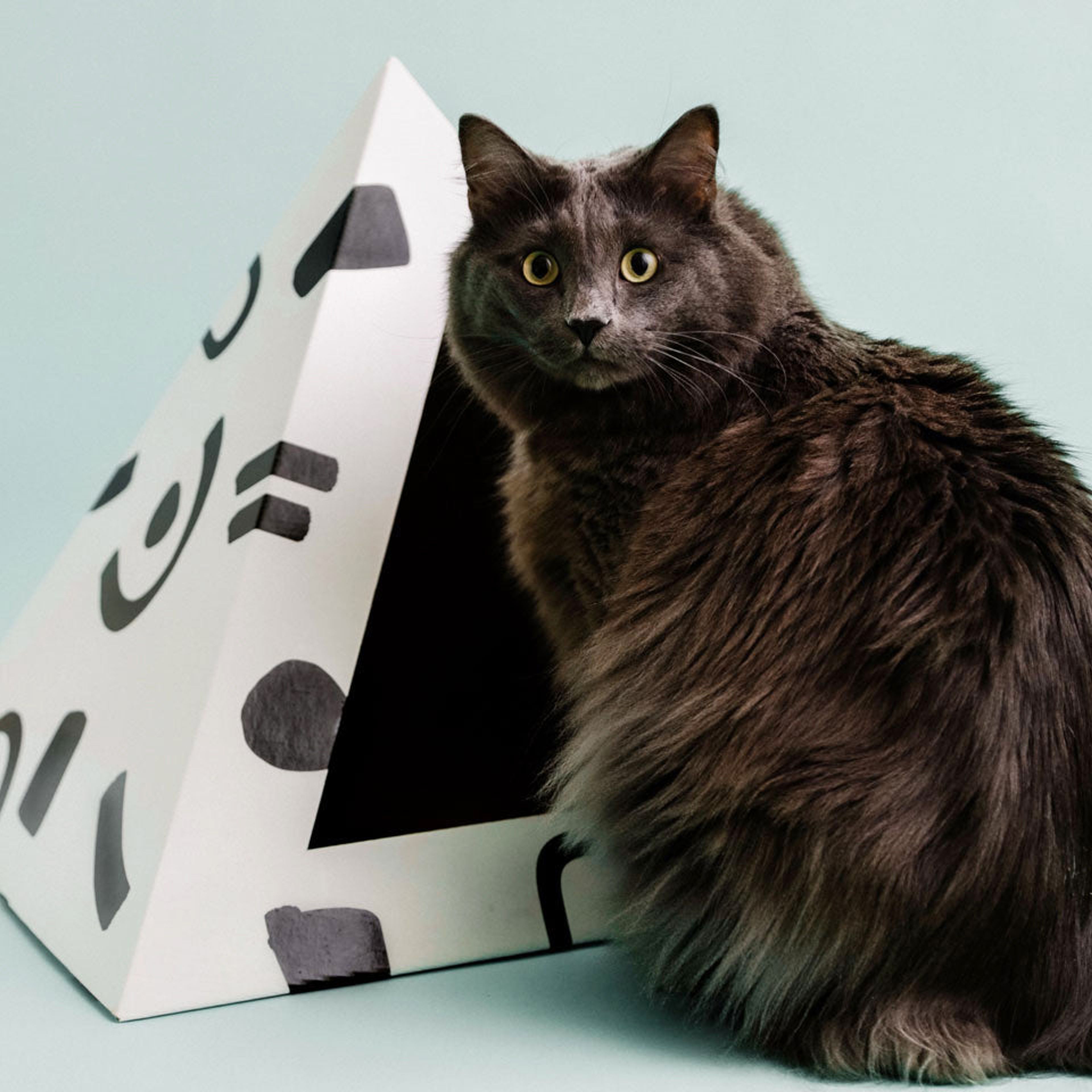 'Doodle' Cardboard Cat Pyramid