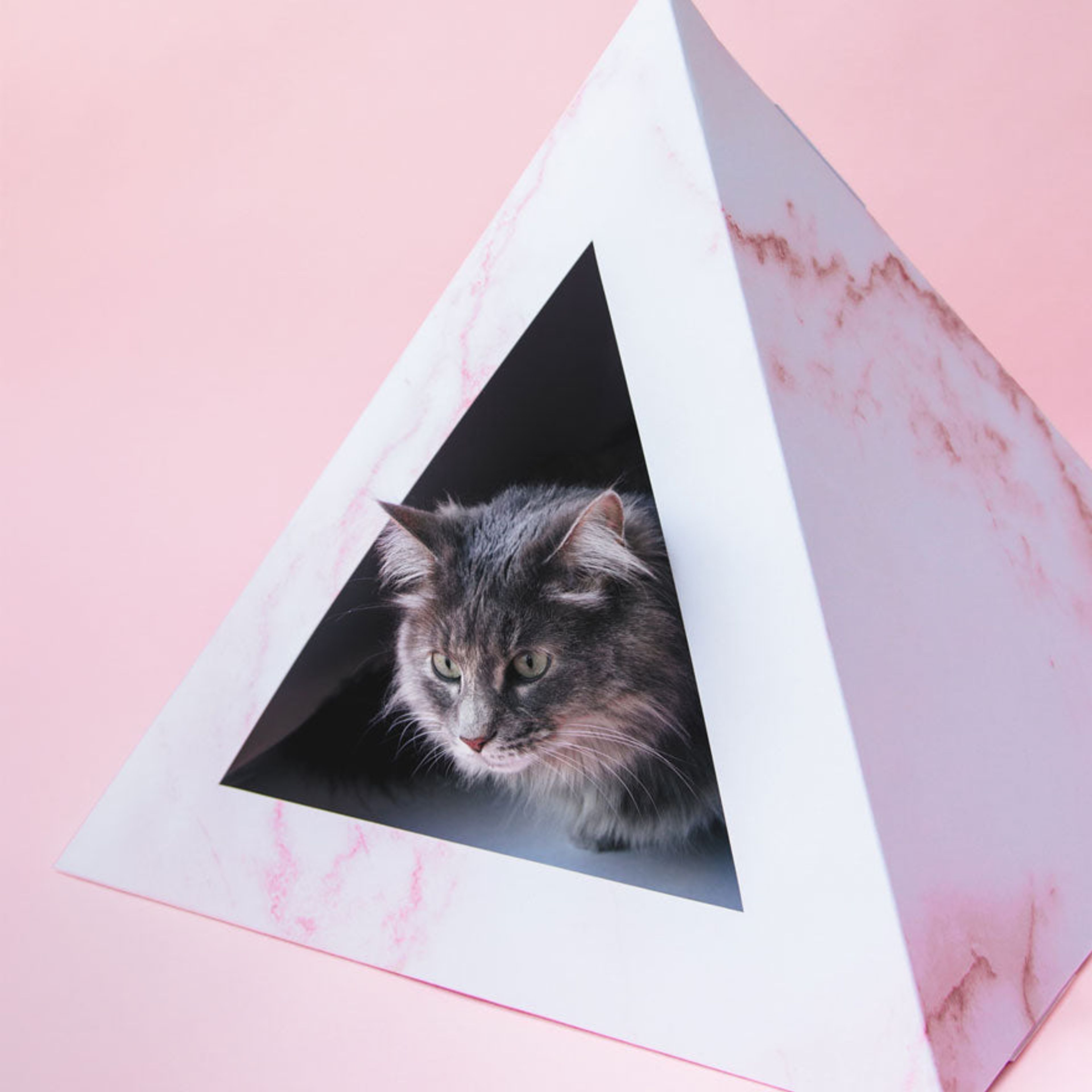 'Rose Quartz' Cardboard Cat Pyramid