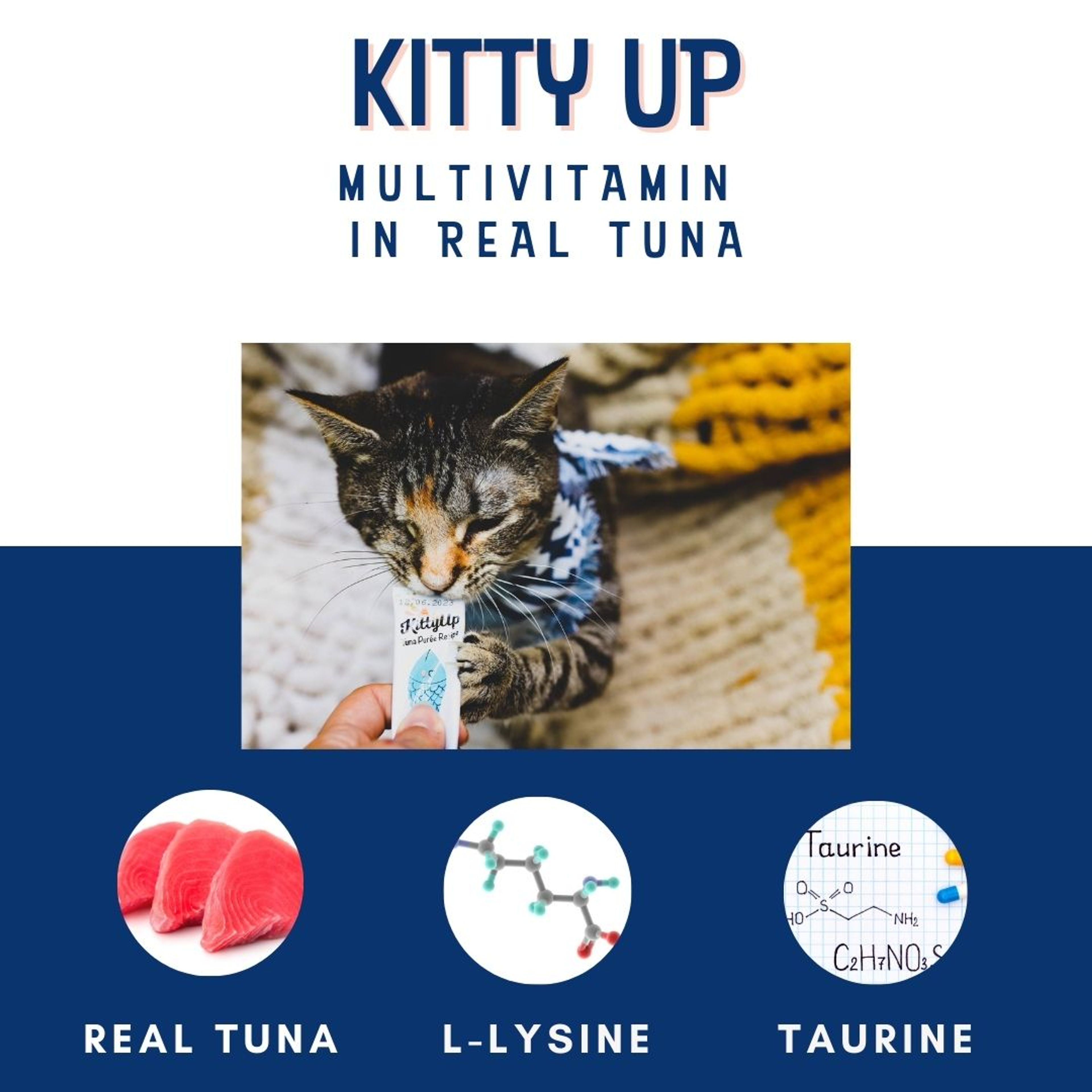Multivitamin with L-Lysine & Taurine Functional Purée