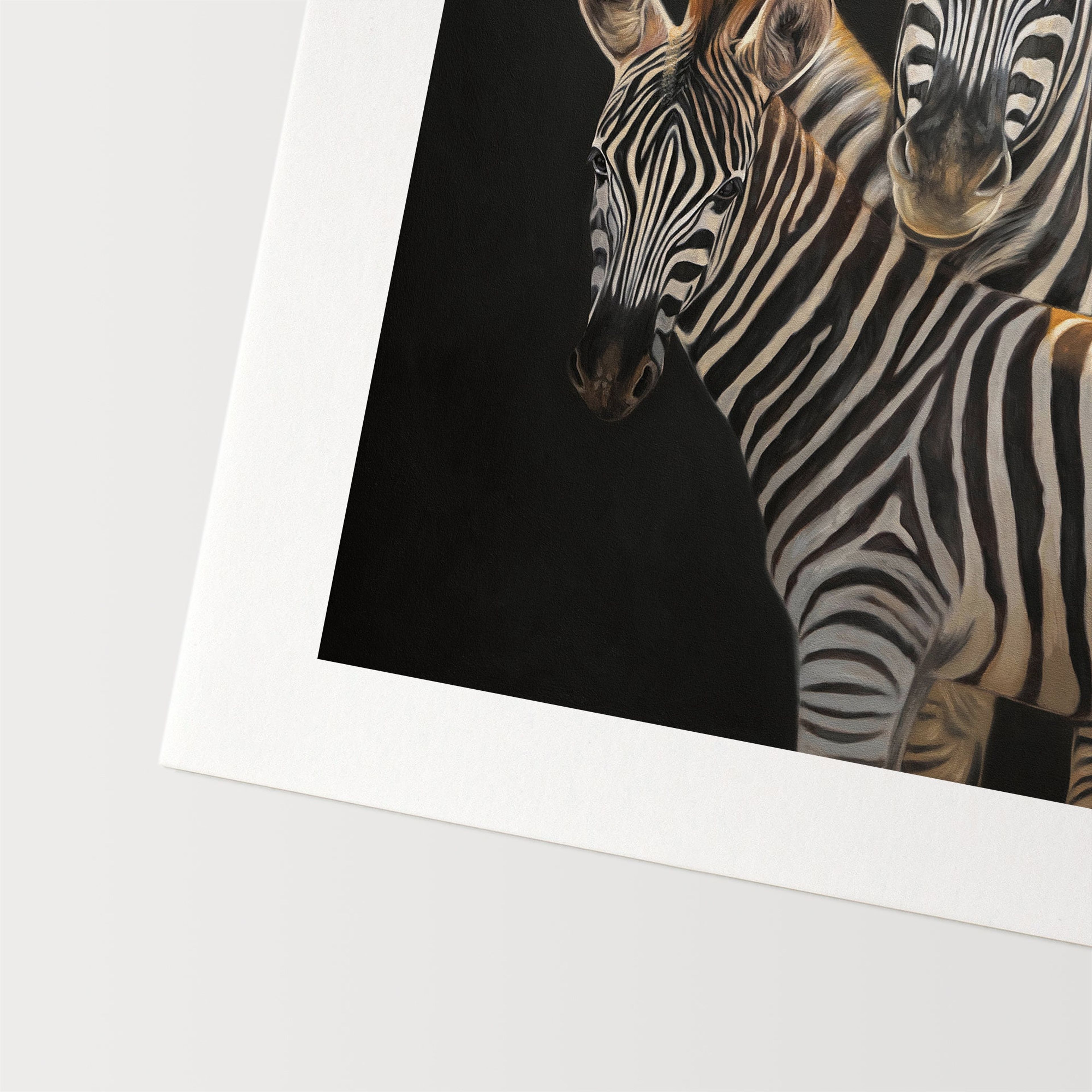 Mother & Foal Zebras | Fine Art Print