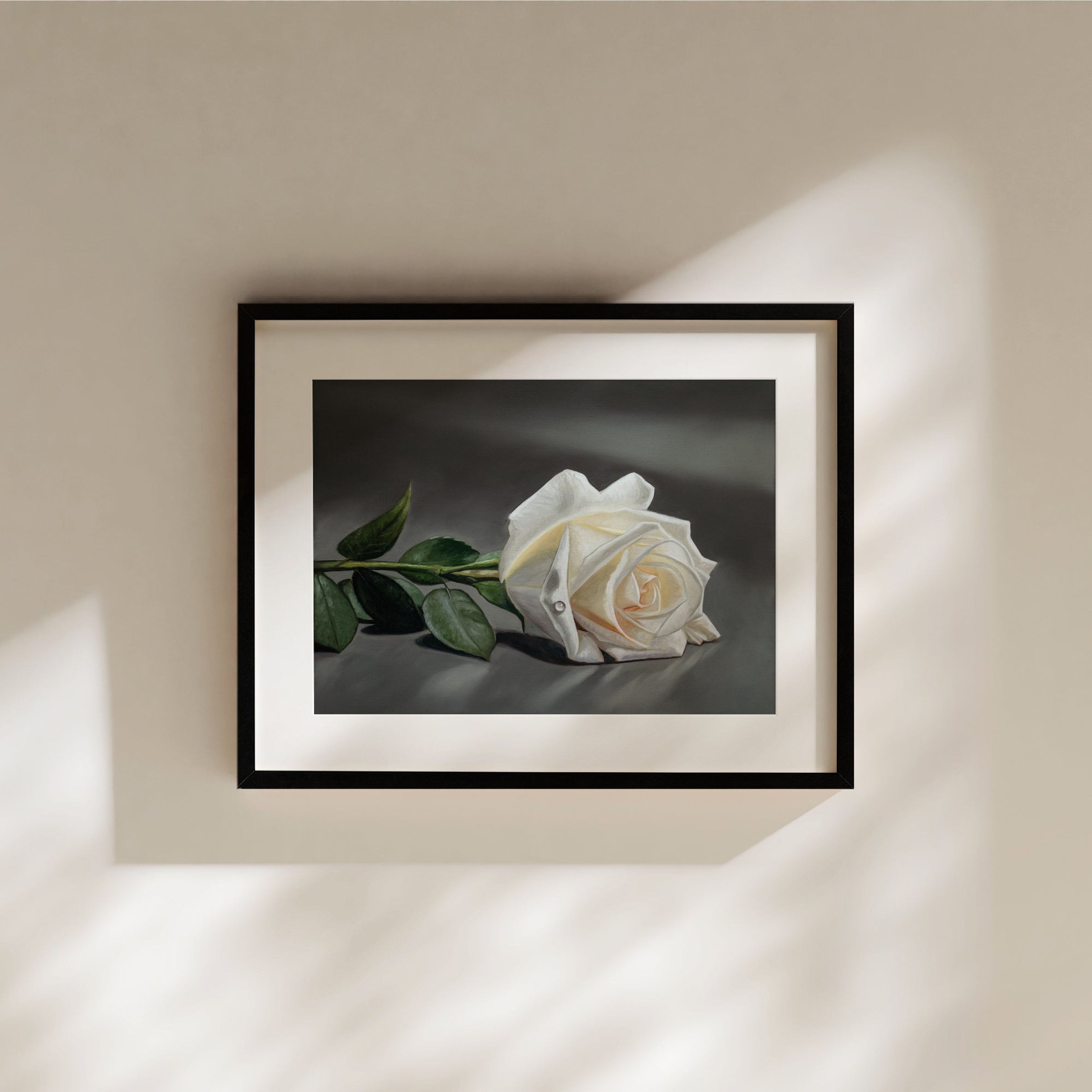 White Rose | Fine Art Print