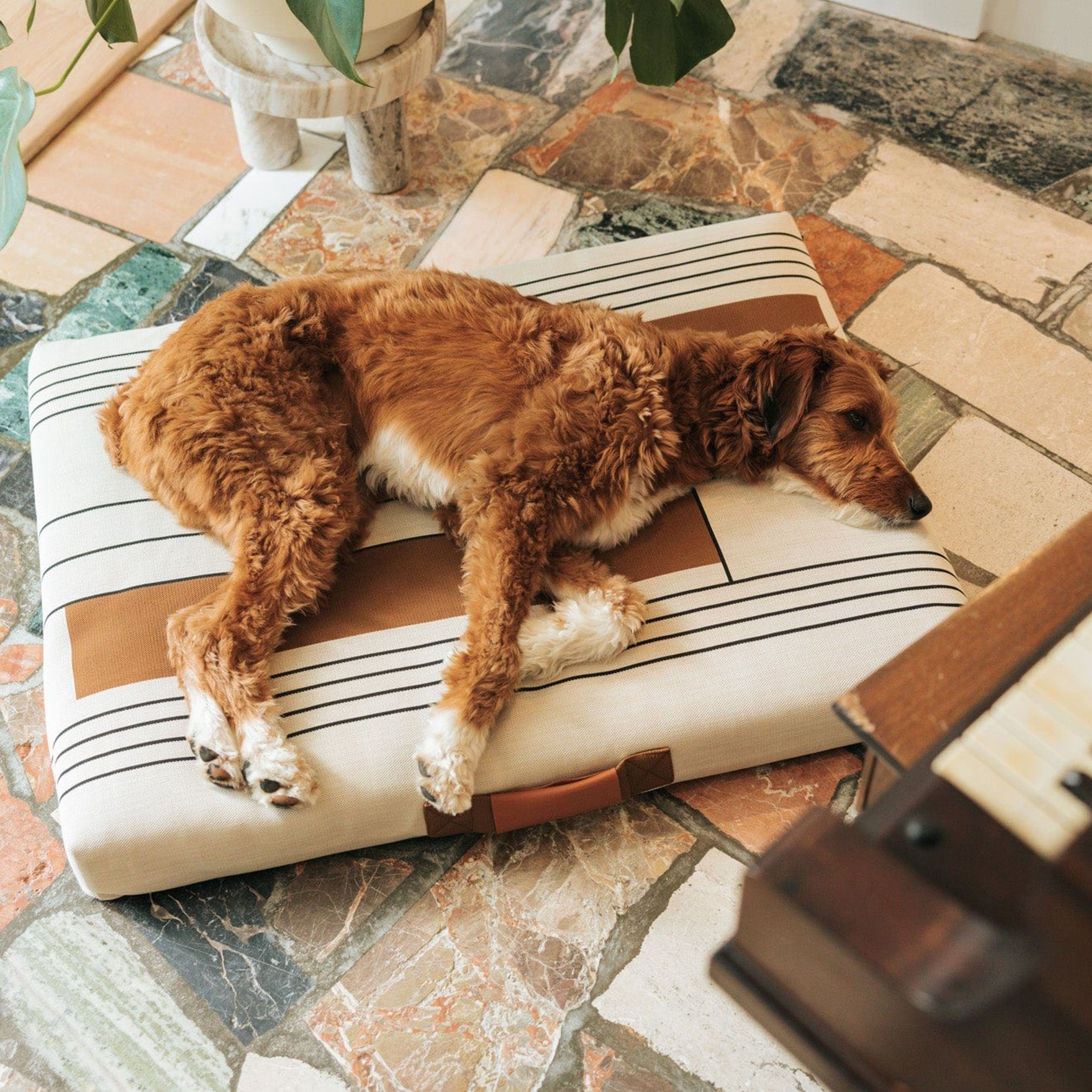 John Legend | Tan Geometric Dog Bed or Bed Cover