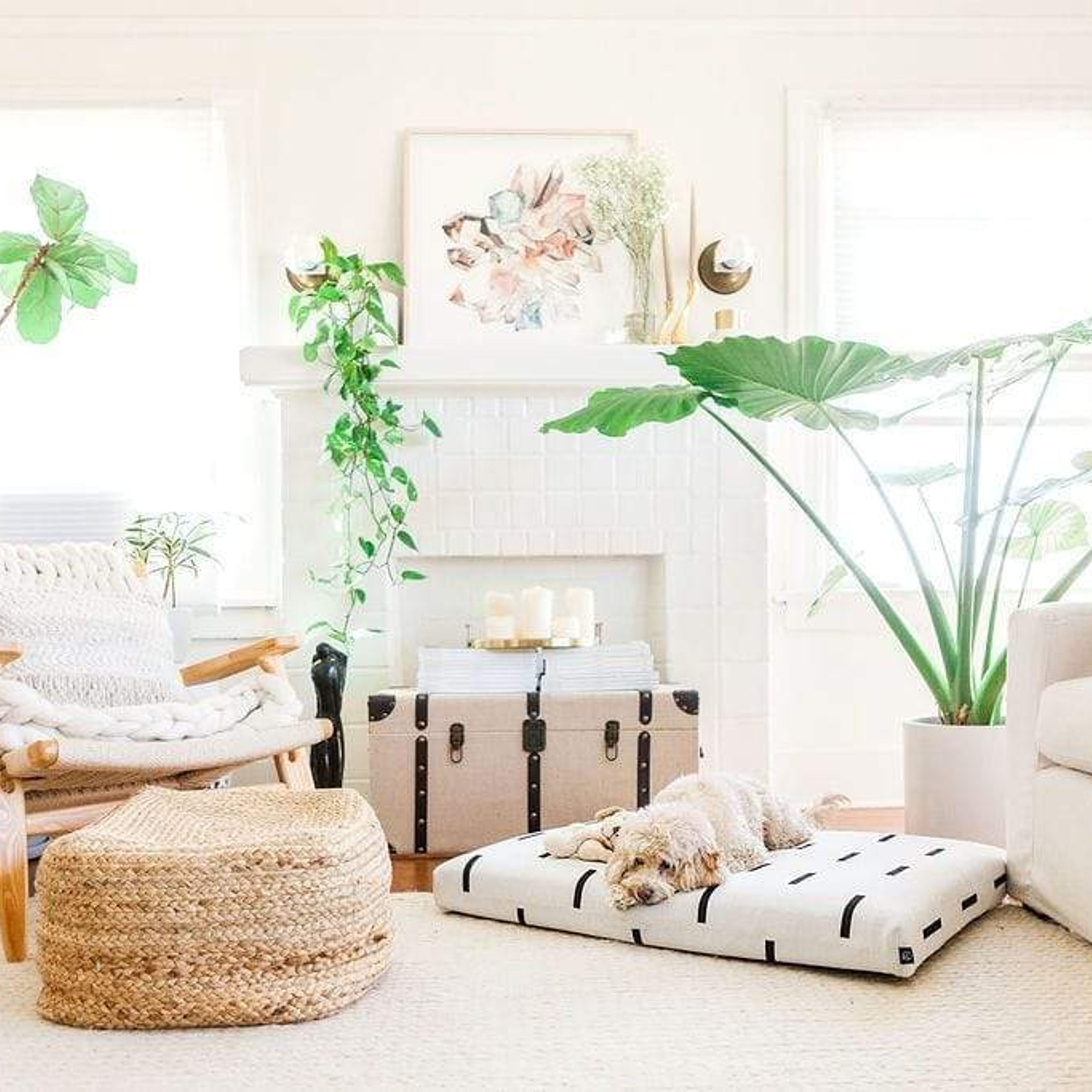 White Rain | Boho Dog Bed or Bed Cover