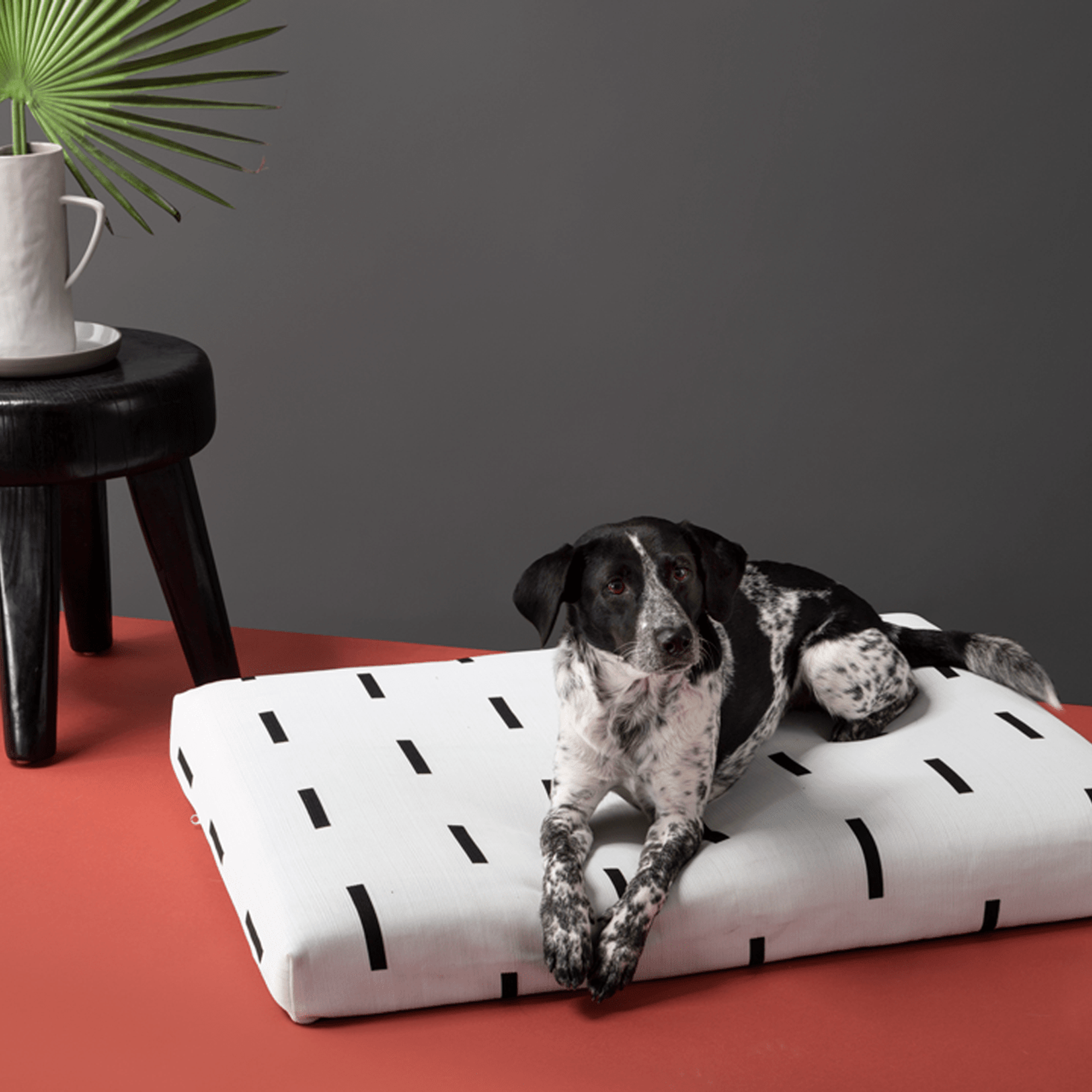White Rain | Boho Dog Bed or Bed Cover