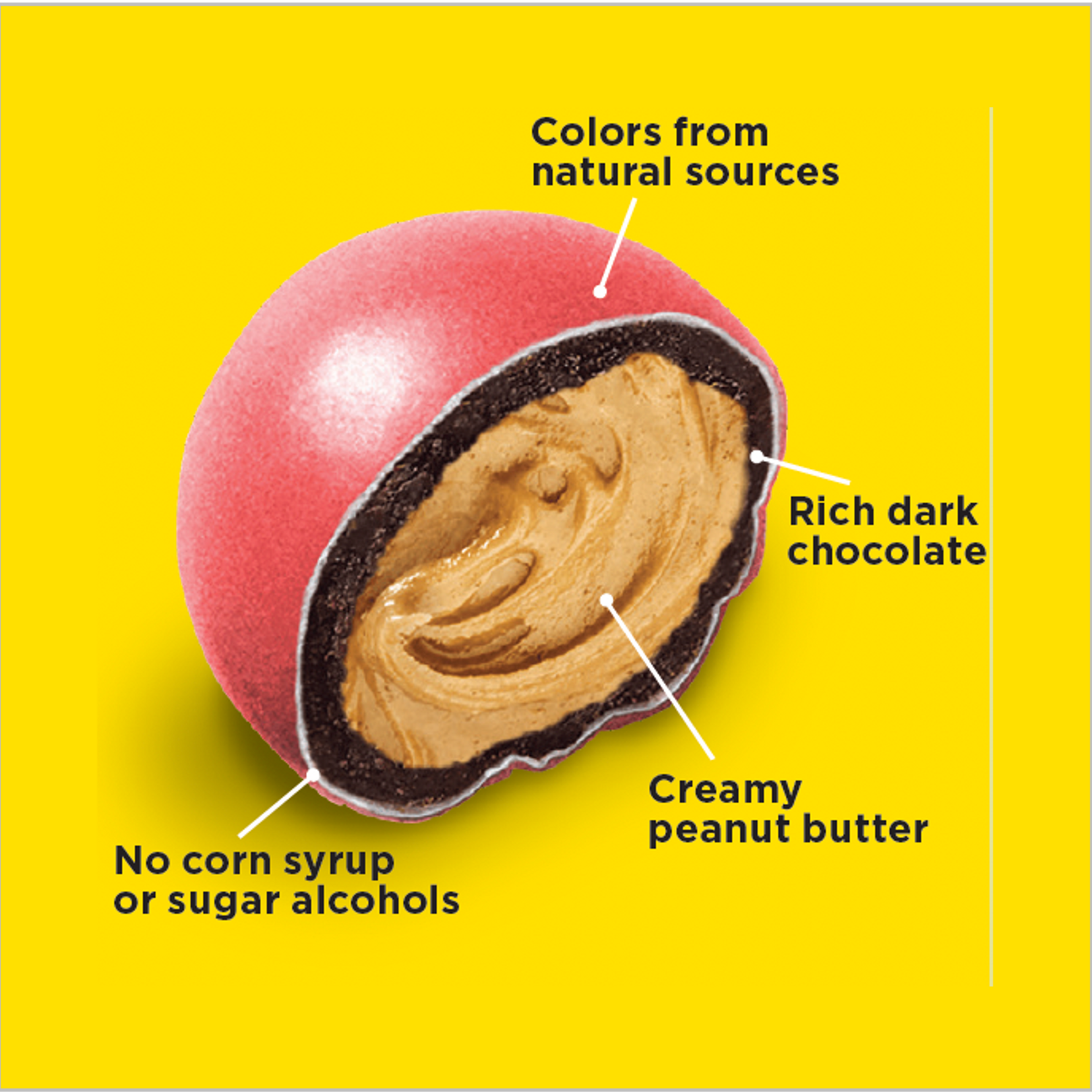 Dark Chocolate Peanut Butter Pieces | 40oz