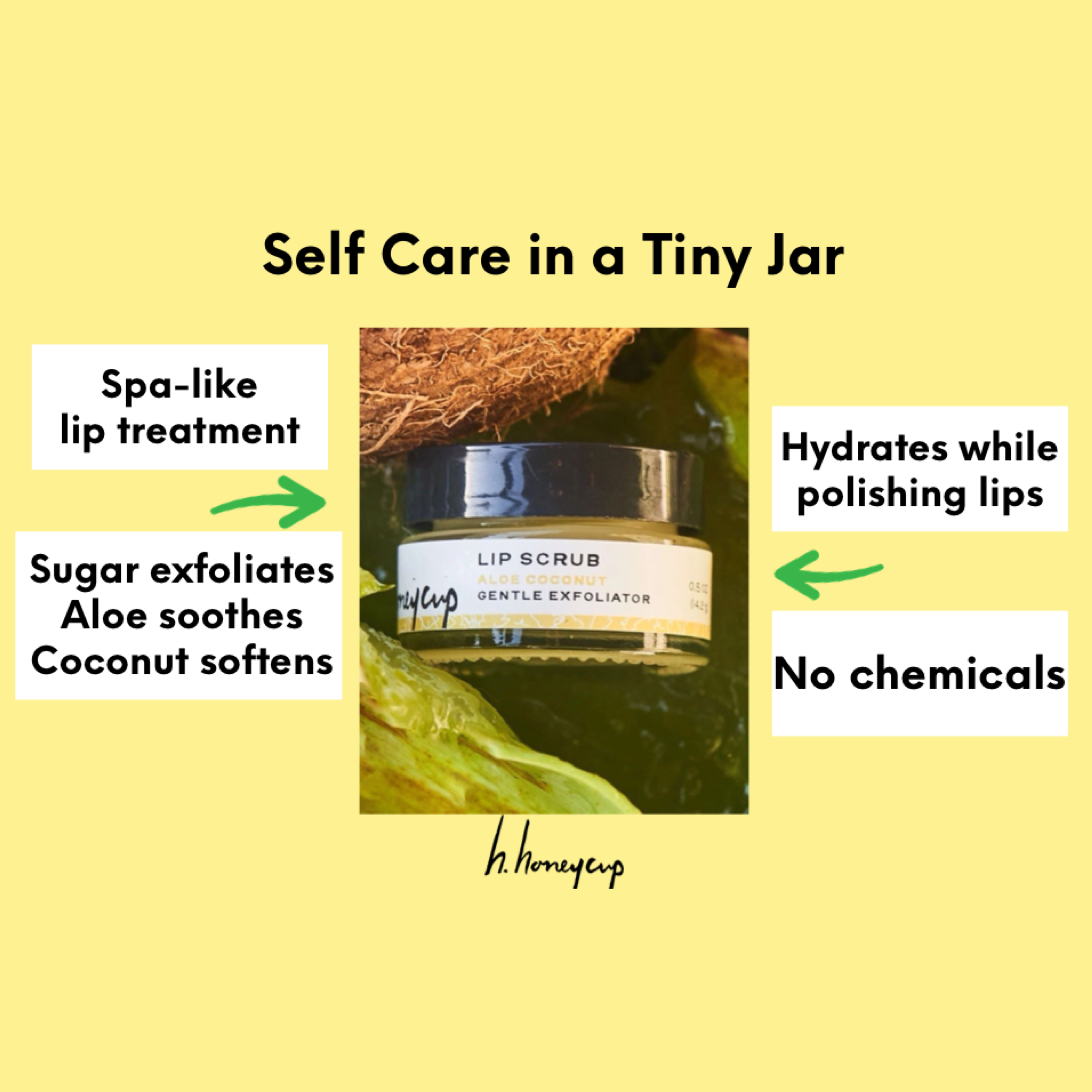 Lip Scrub Aloe Coconut SAVE 40% by H. Honeycup