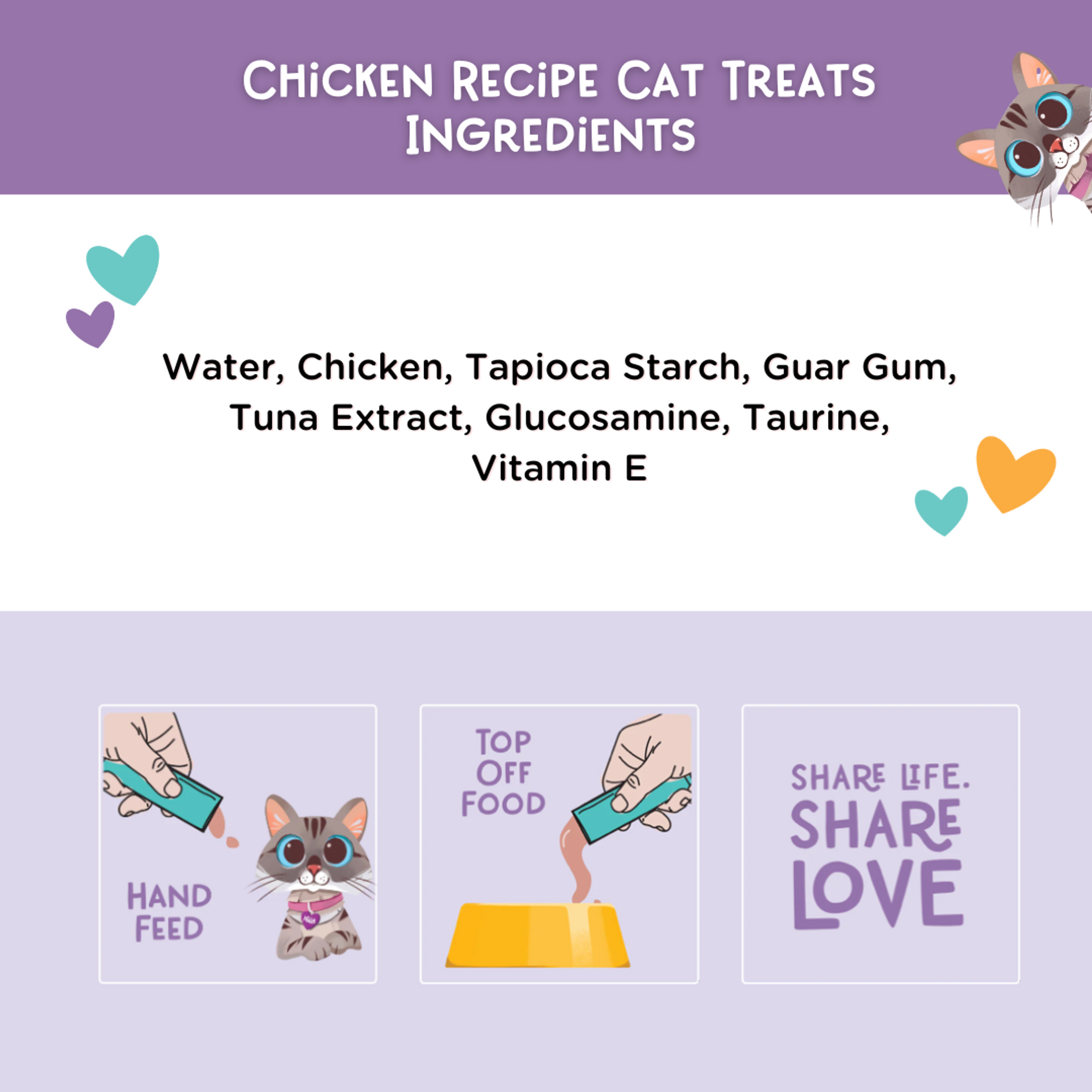 Chicken Recipe Cat Treats, Pack of 4
