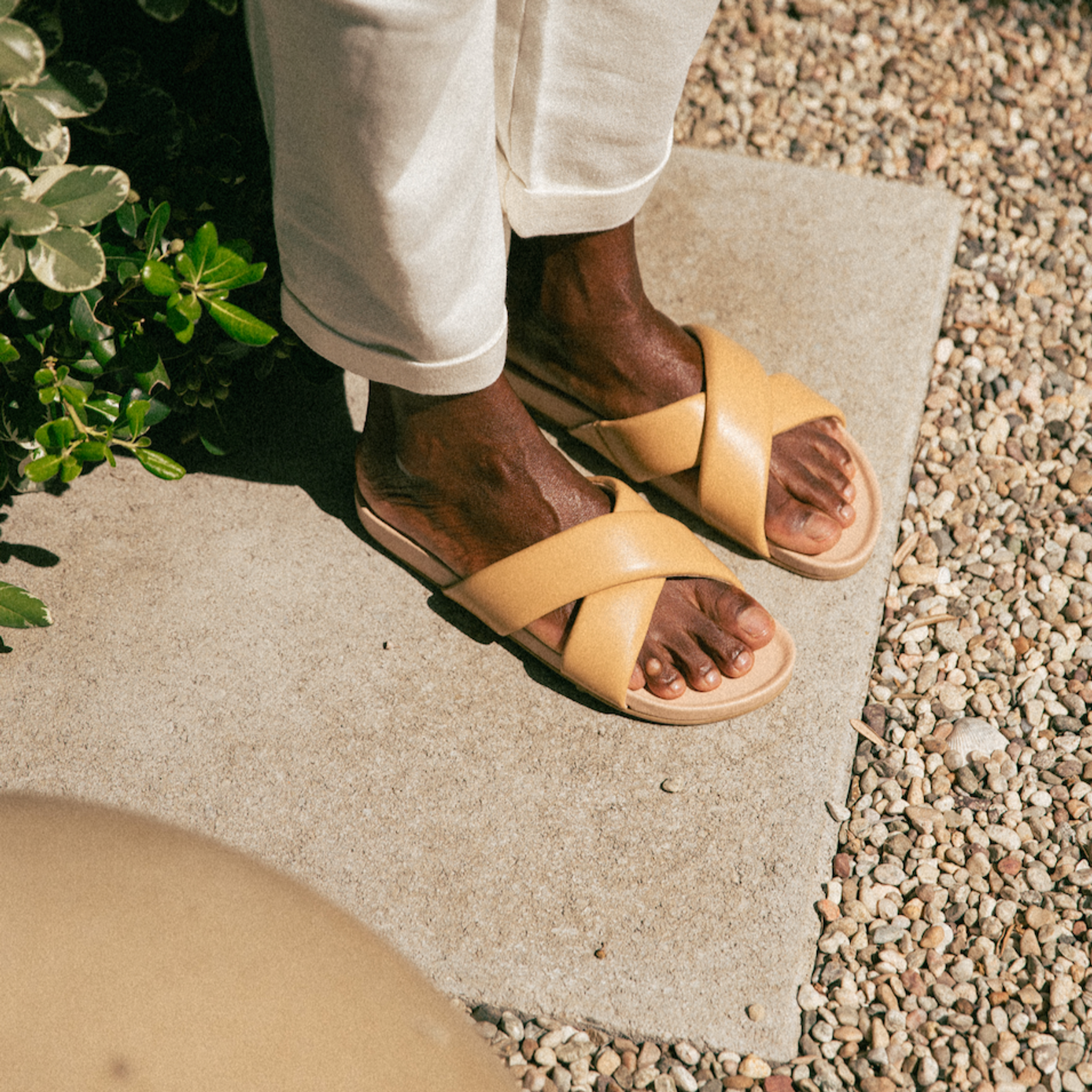 Dolly Sandals - Mustard