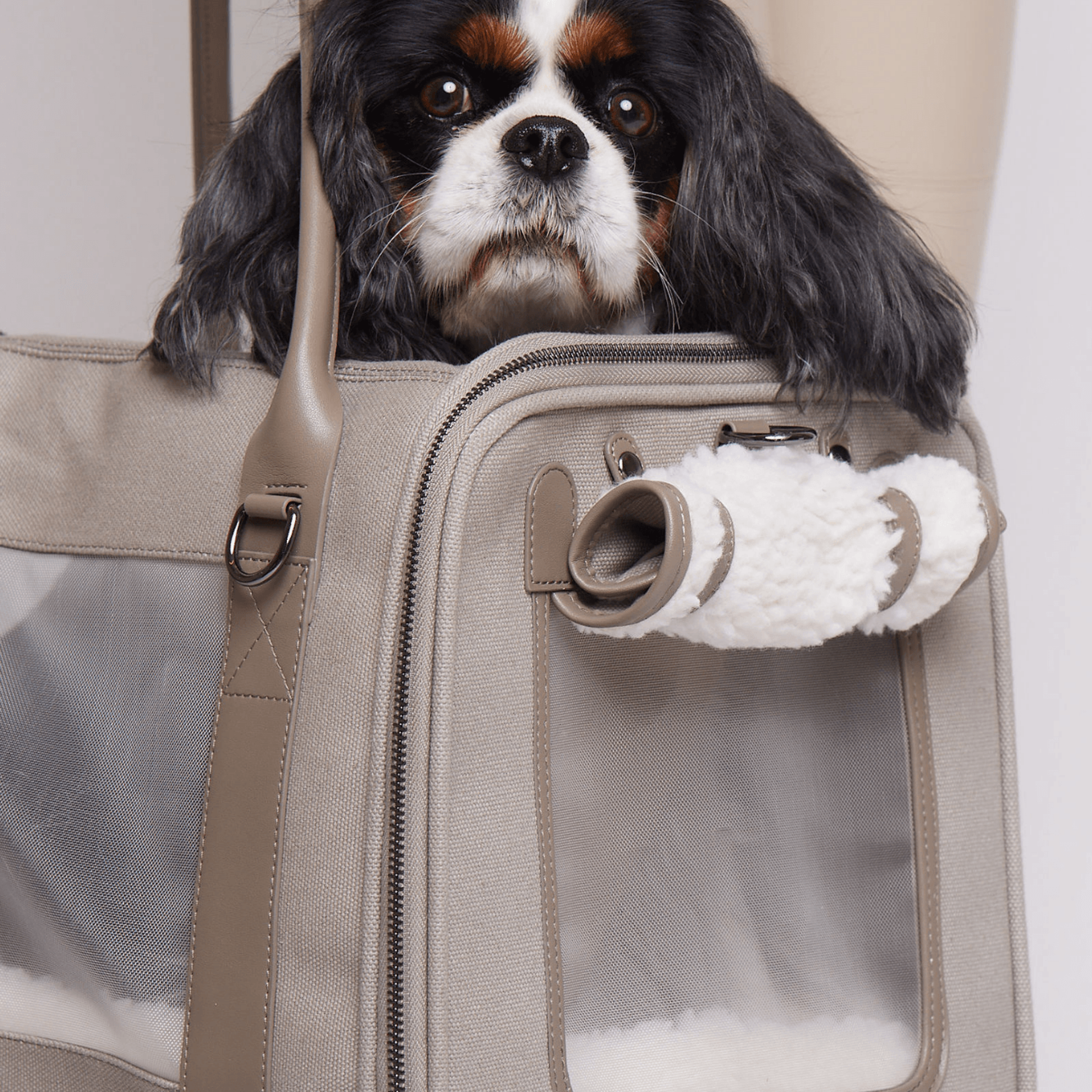 Global Citizen Pet Carrier Bag
