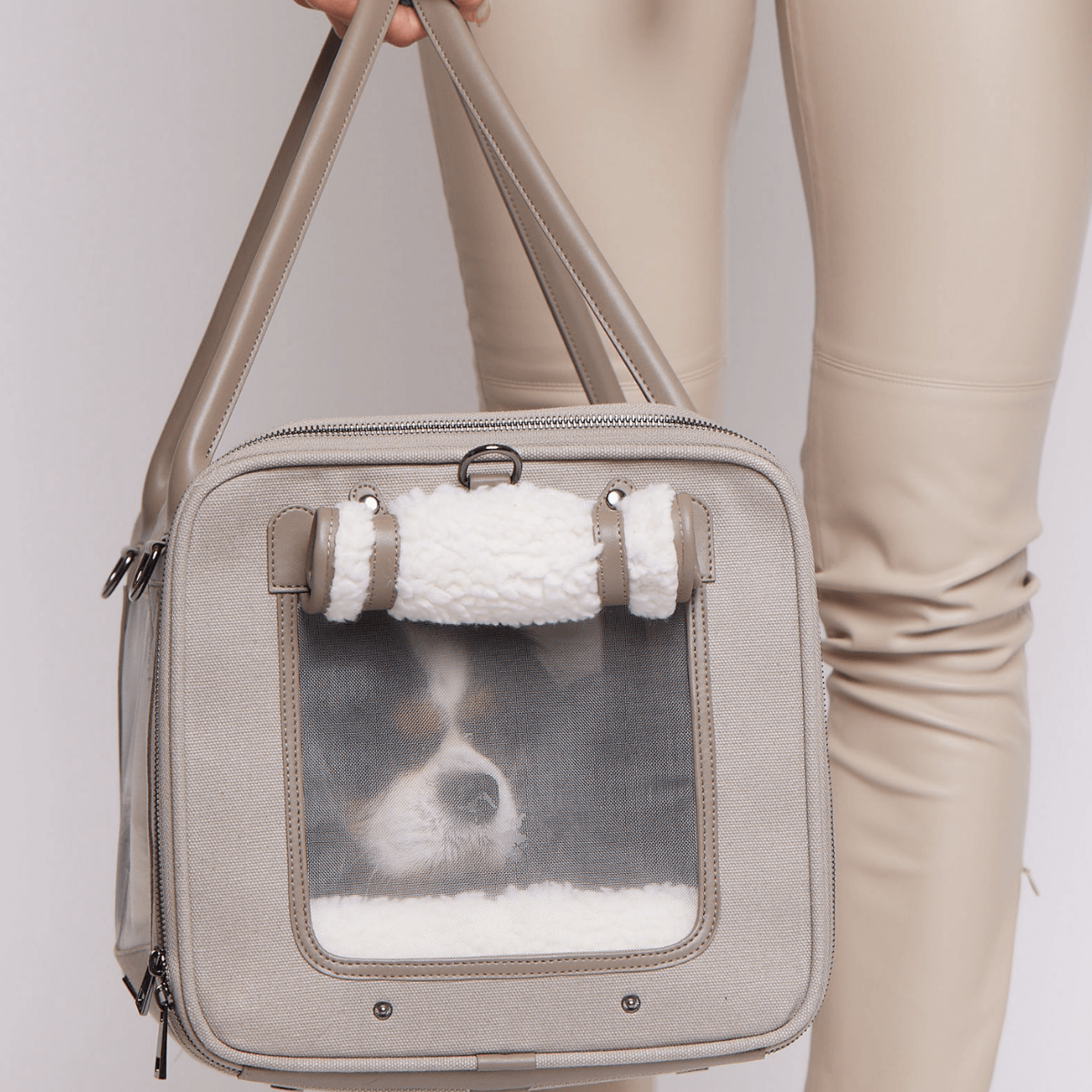 Global Citizen Pet Carrier Bag