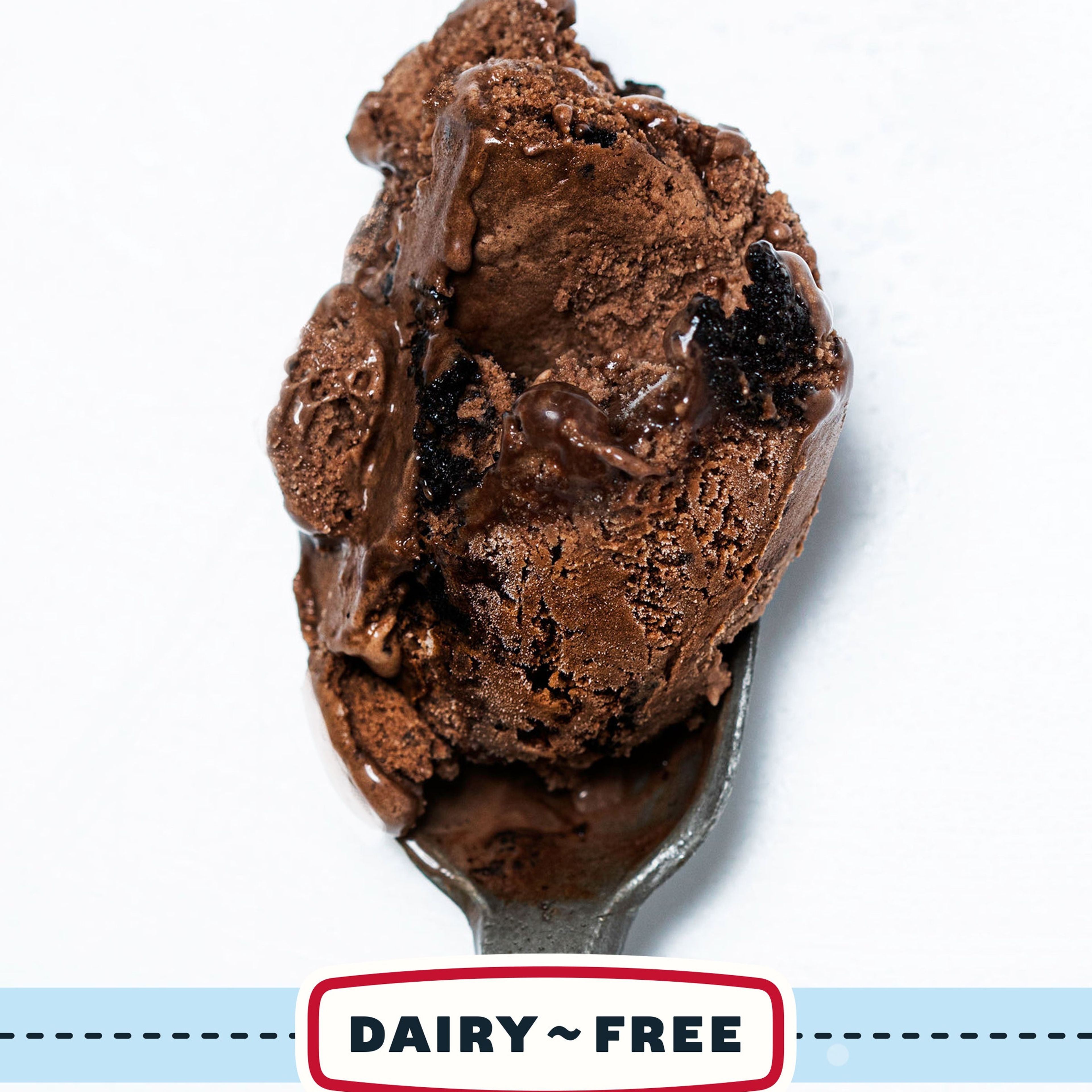 Dairy-Free Chocolate Fudge & Cookies