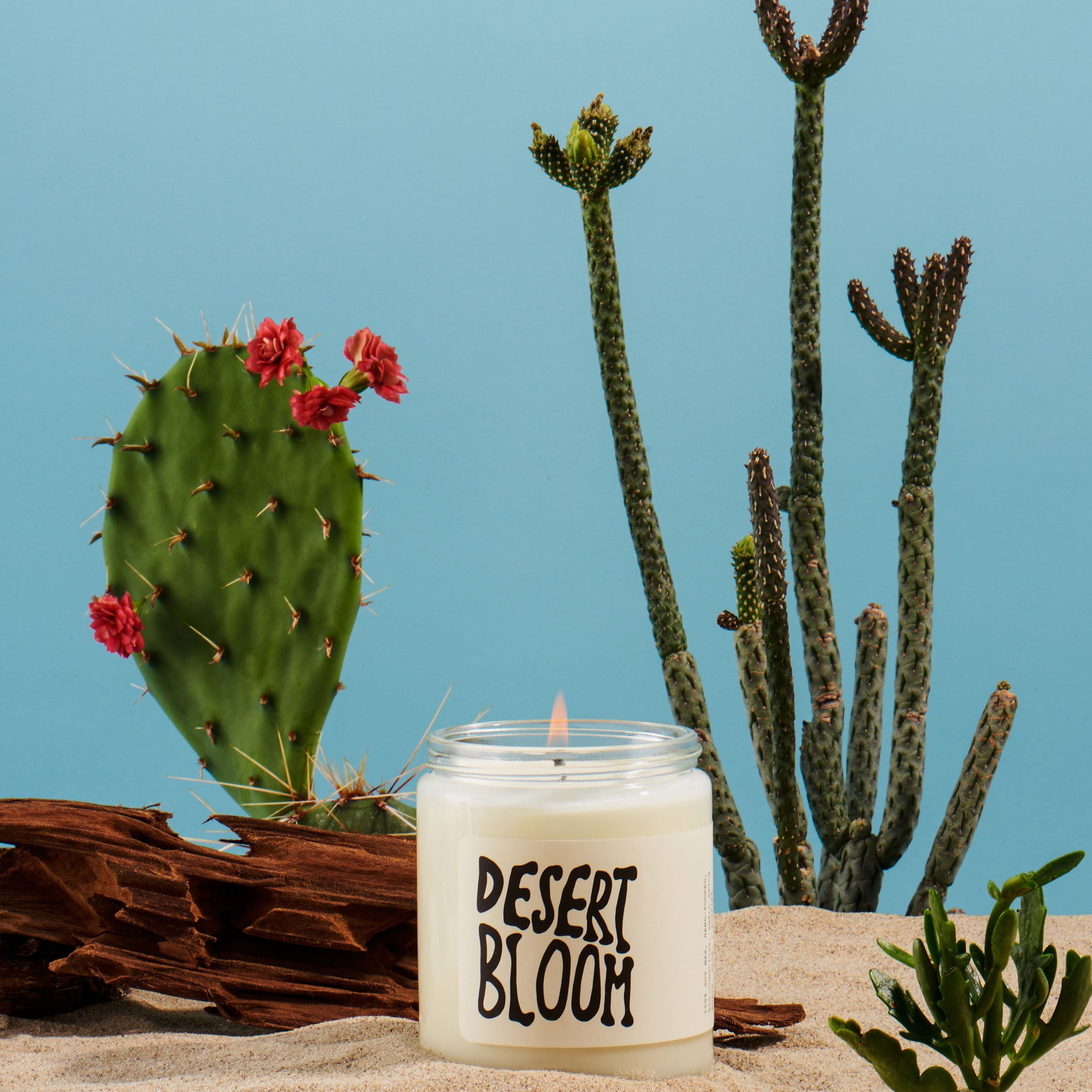 Desert Bloom - Candle