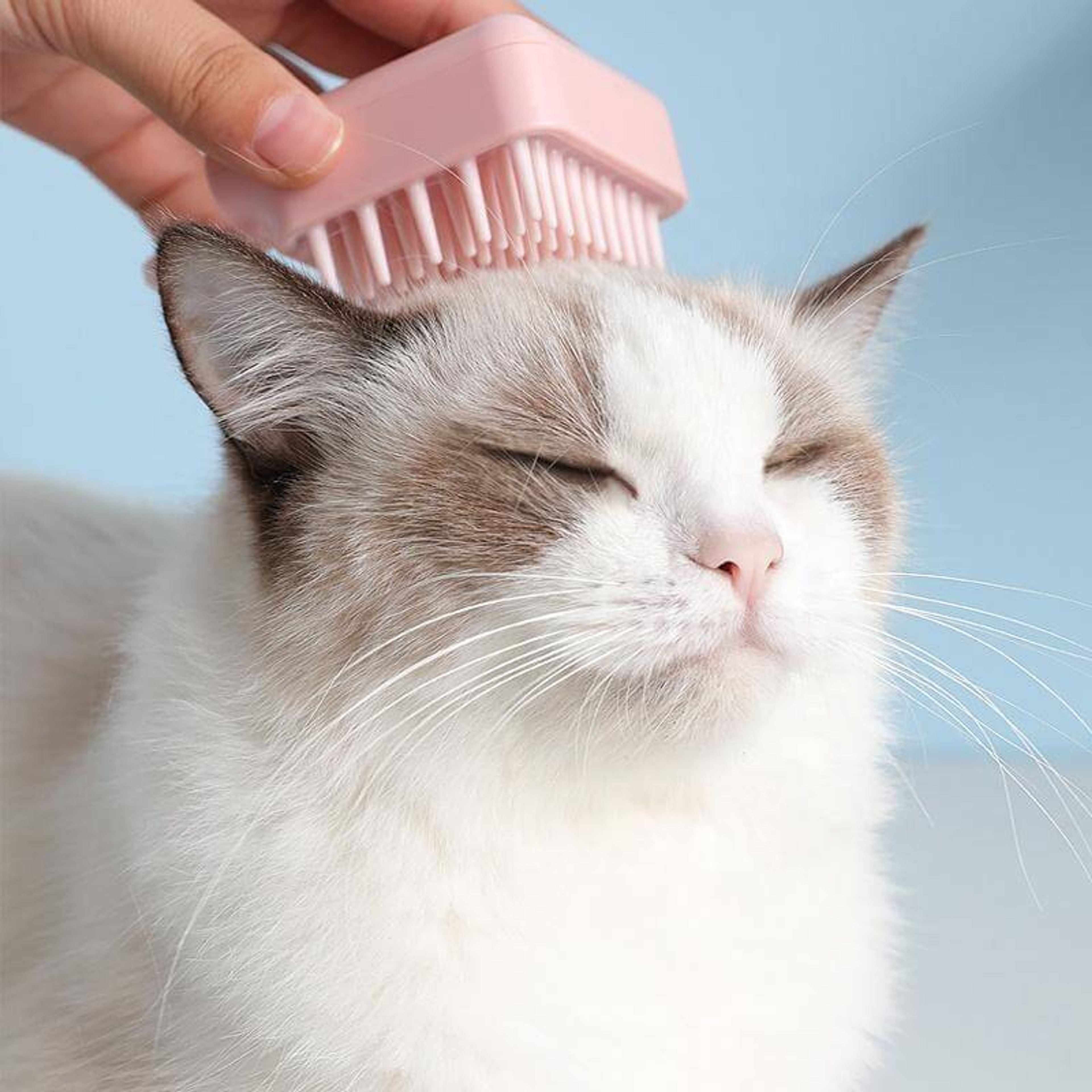 Pet Grooming Brush - Dog & Cat Bath Comb and Massage Brush