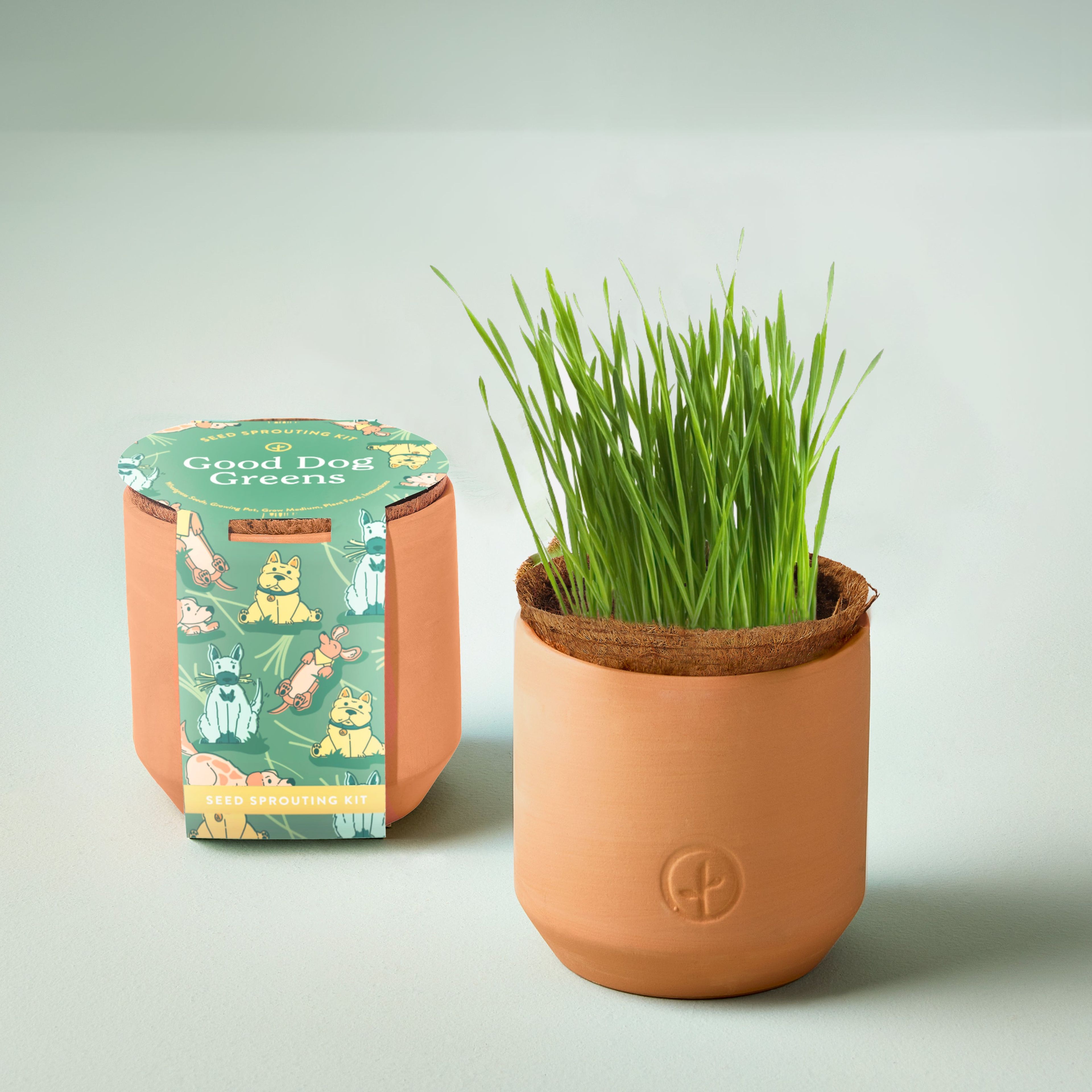 Pet Tiny Terracotta Grow Kits