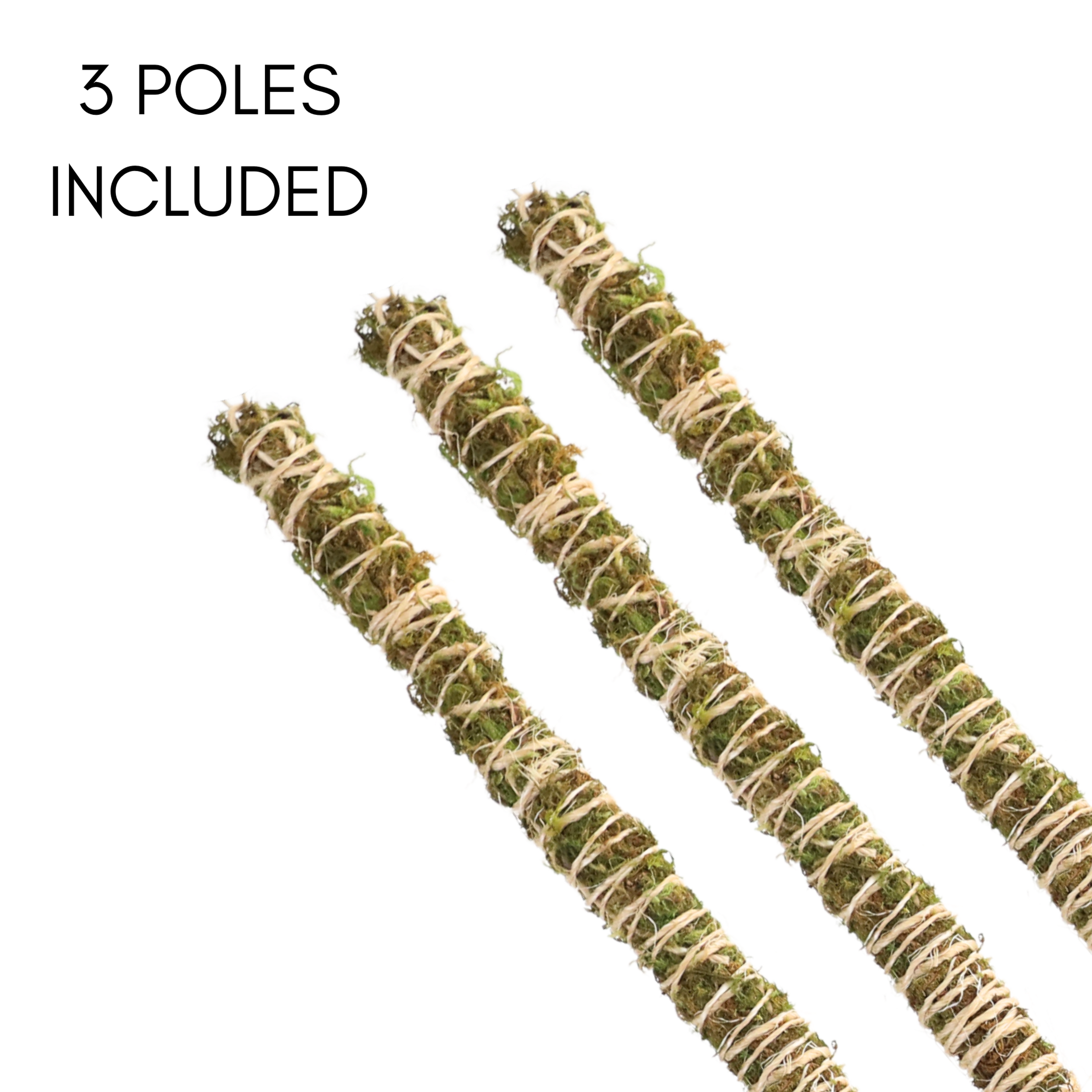 The Bendable Moss Pole THIN