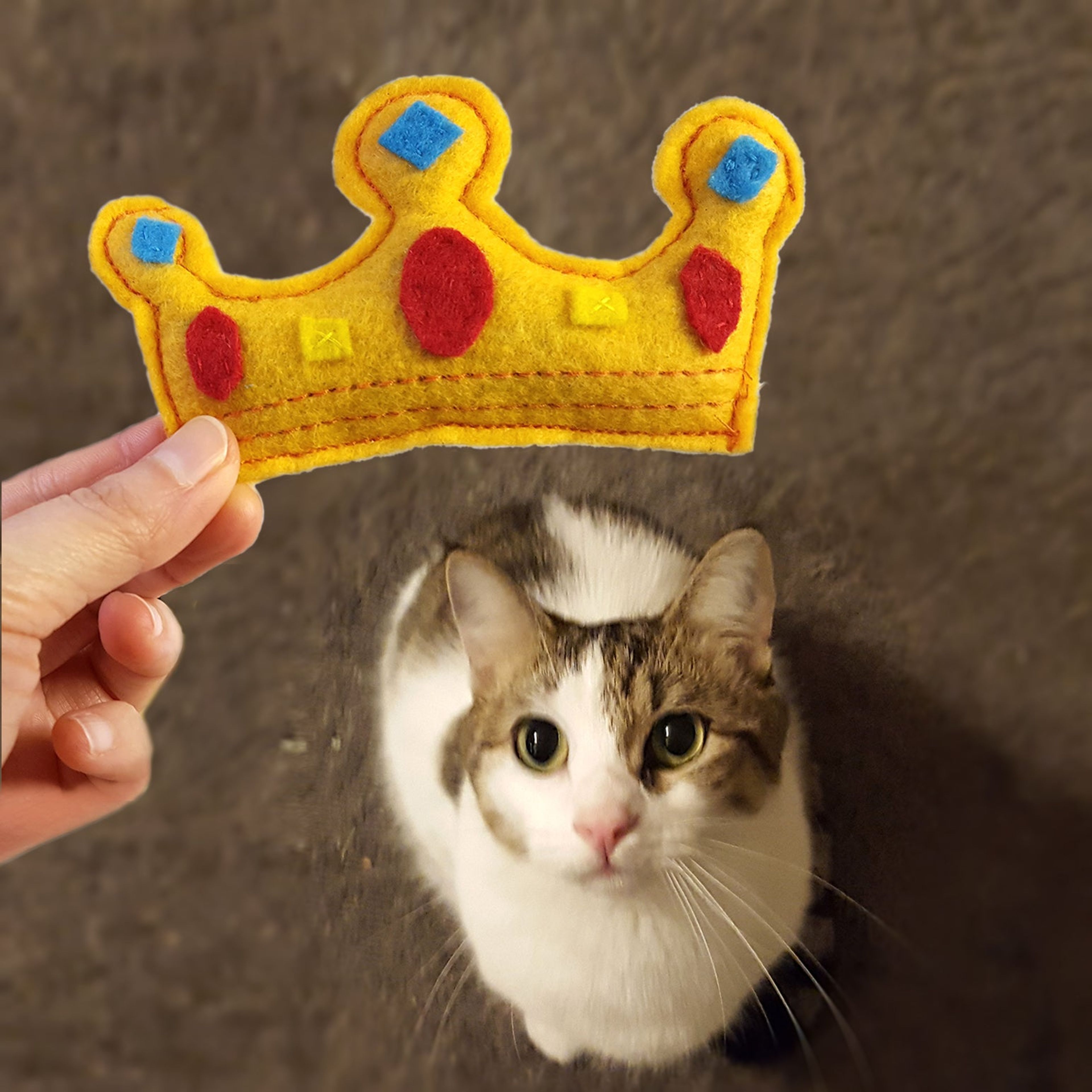 Felt Crown Catnip Cat Toy