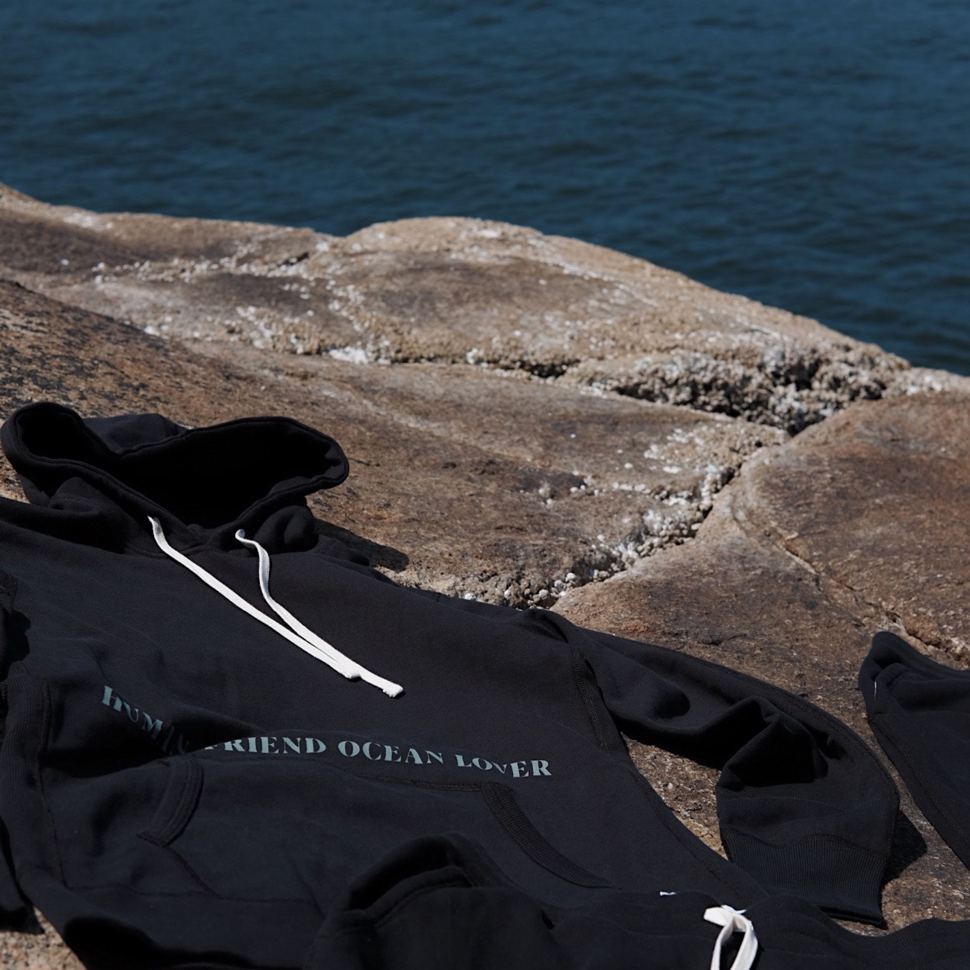 www.ocin.co/products/human-friend-ocean-lover-hoodie