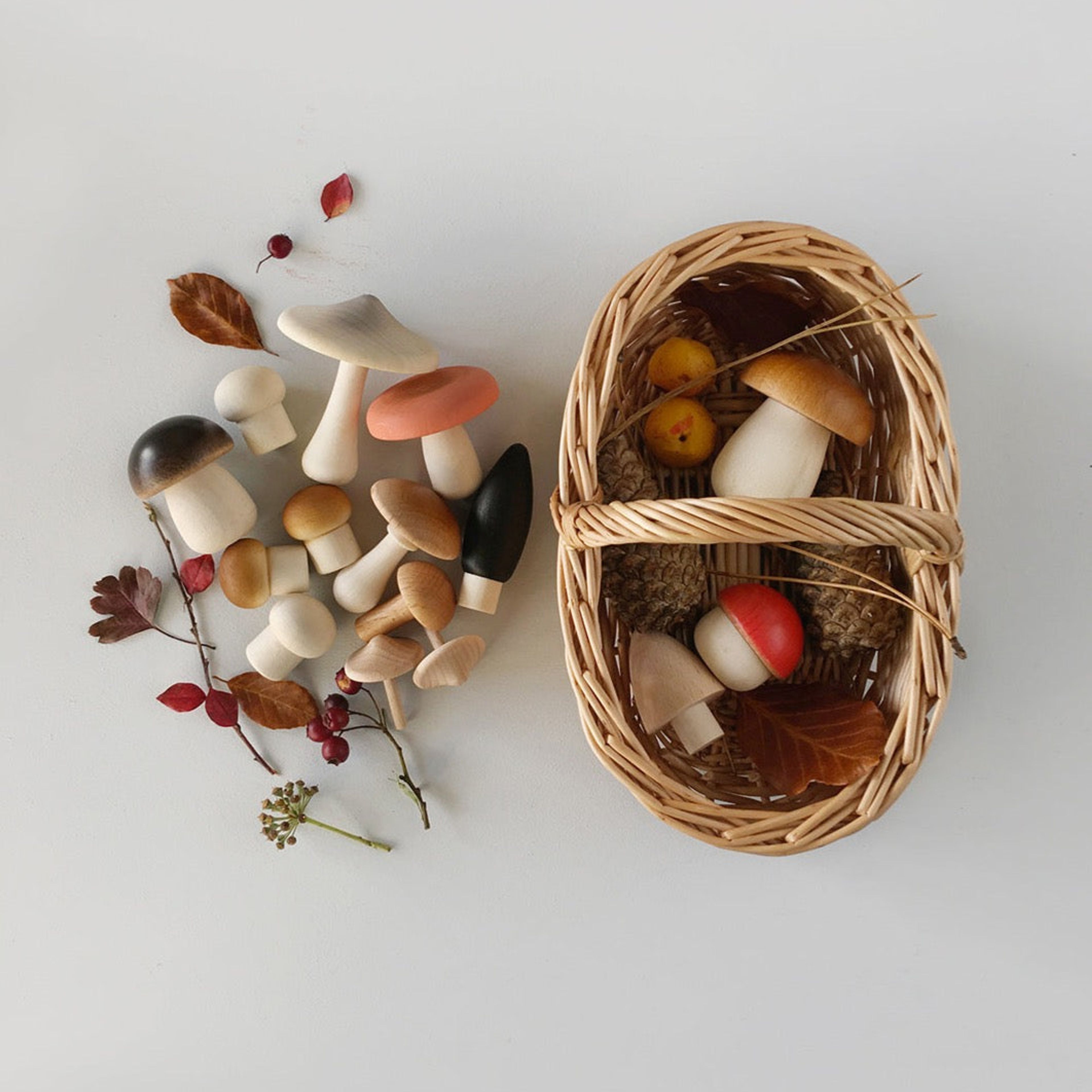 Forest Mushrooms Basket - Moon Picnic
