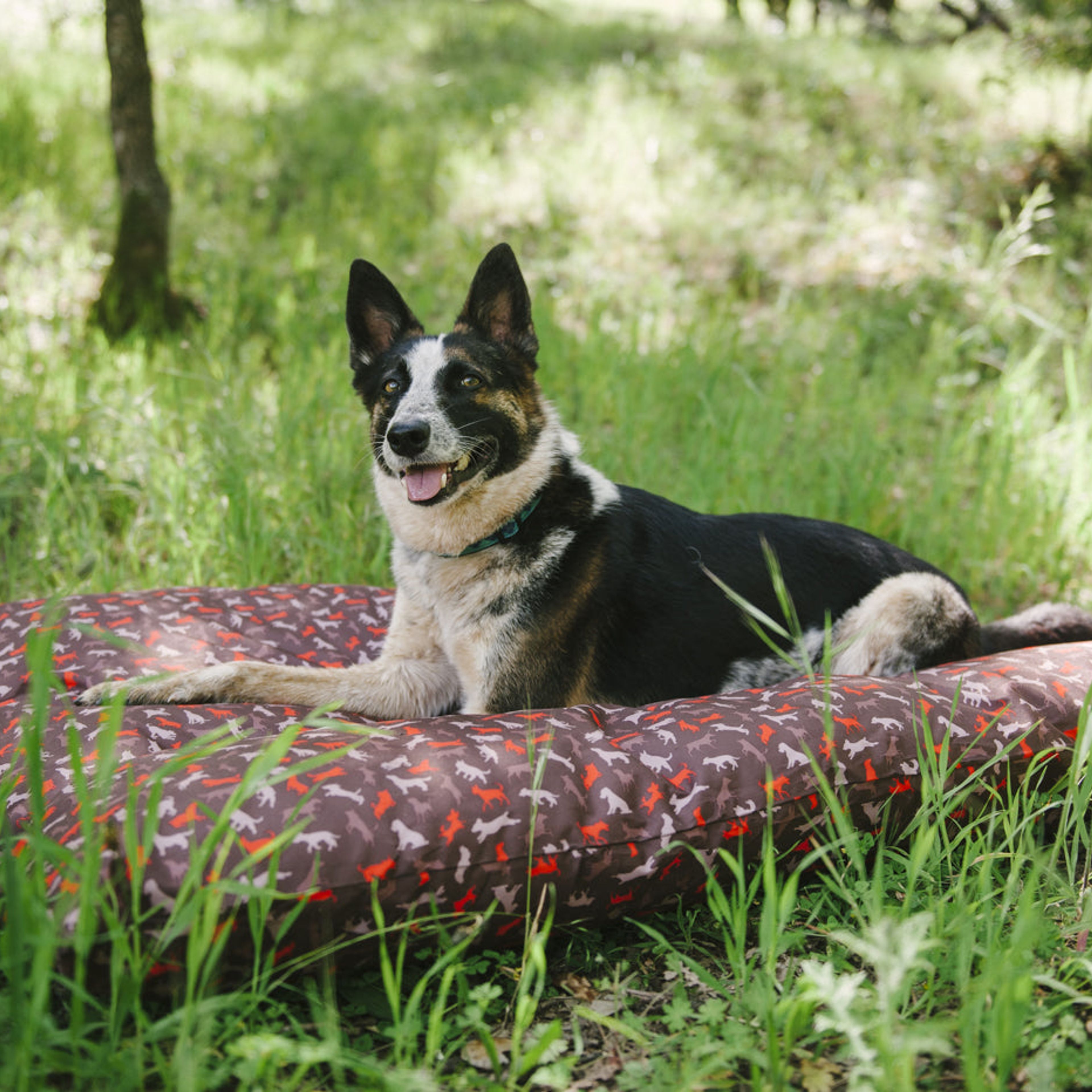 Scout & About Outdoor Bed