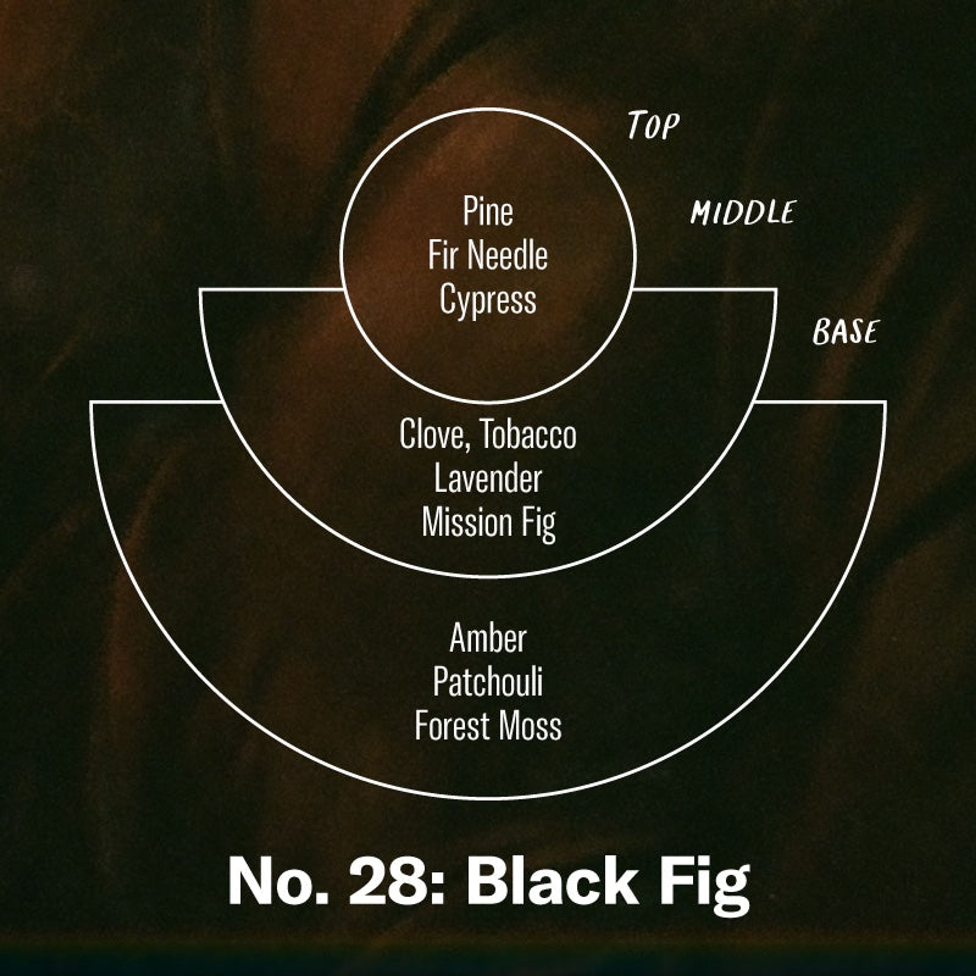 Black Fig– Standard Candle