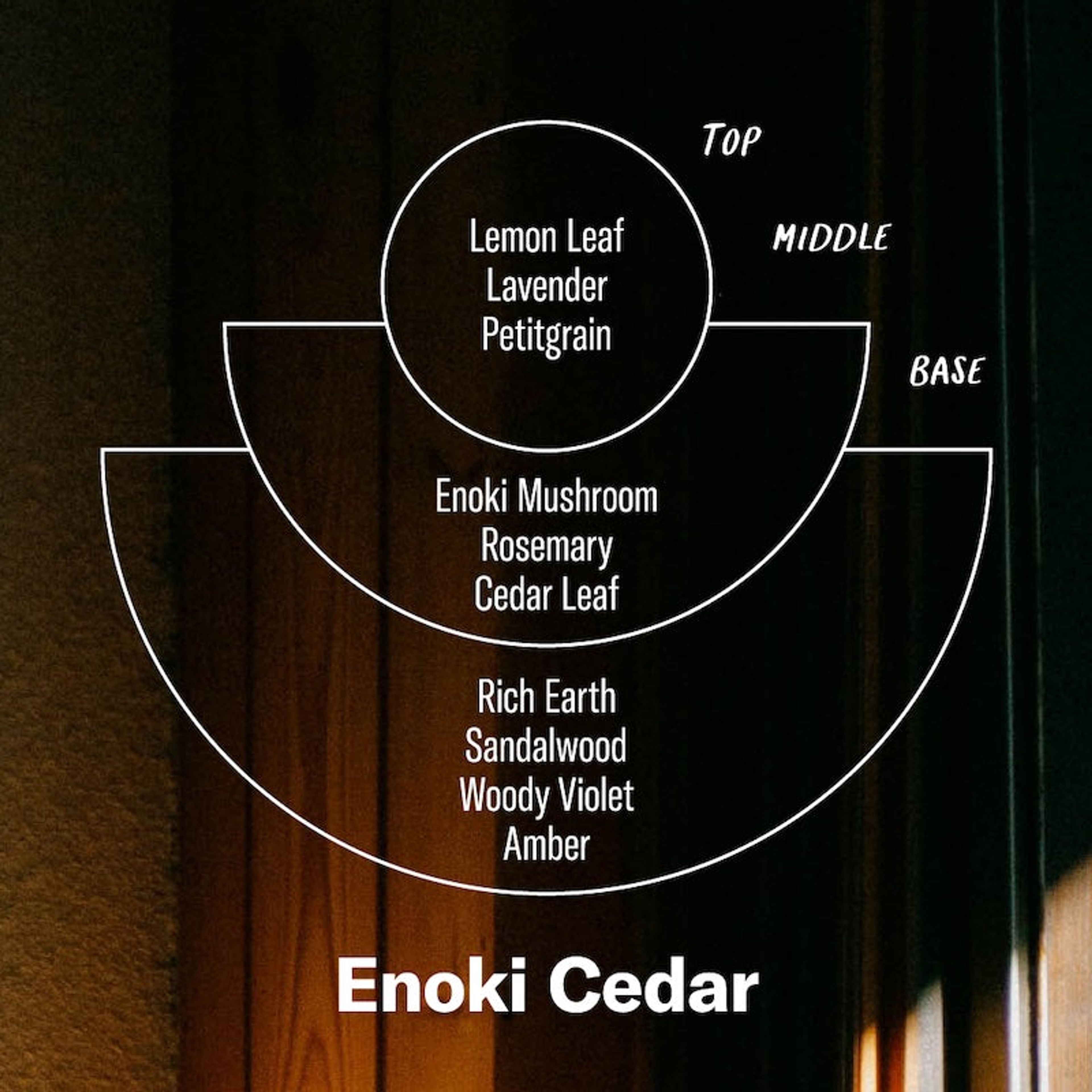 Enoki Cedar– Alchemy Candle