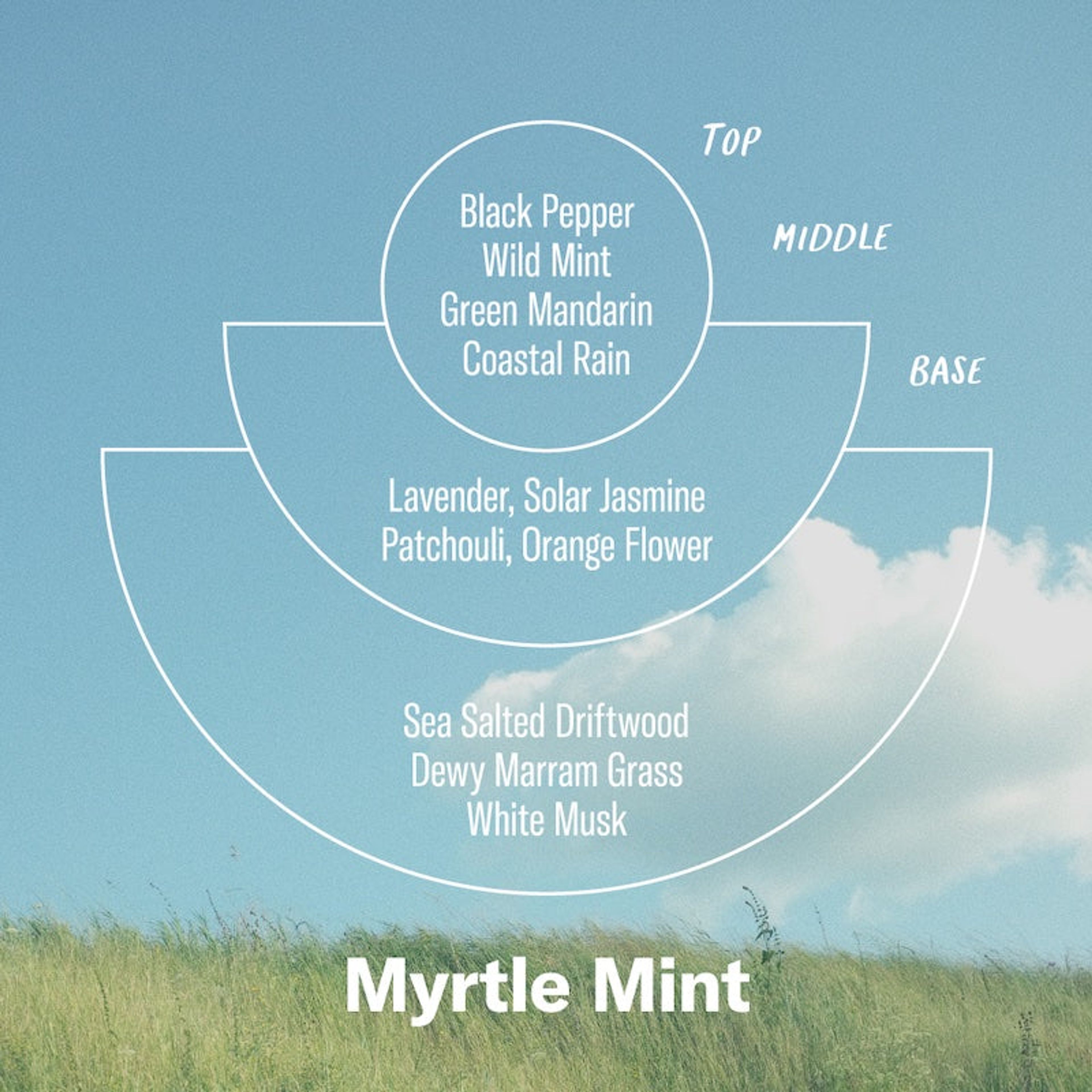 Myrtle Mint– Alchemy Candle