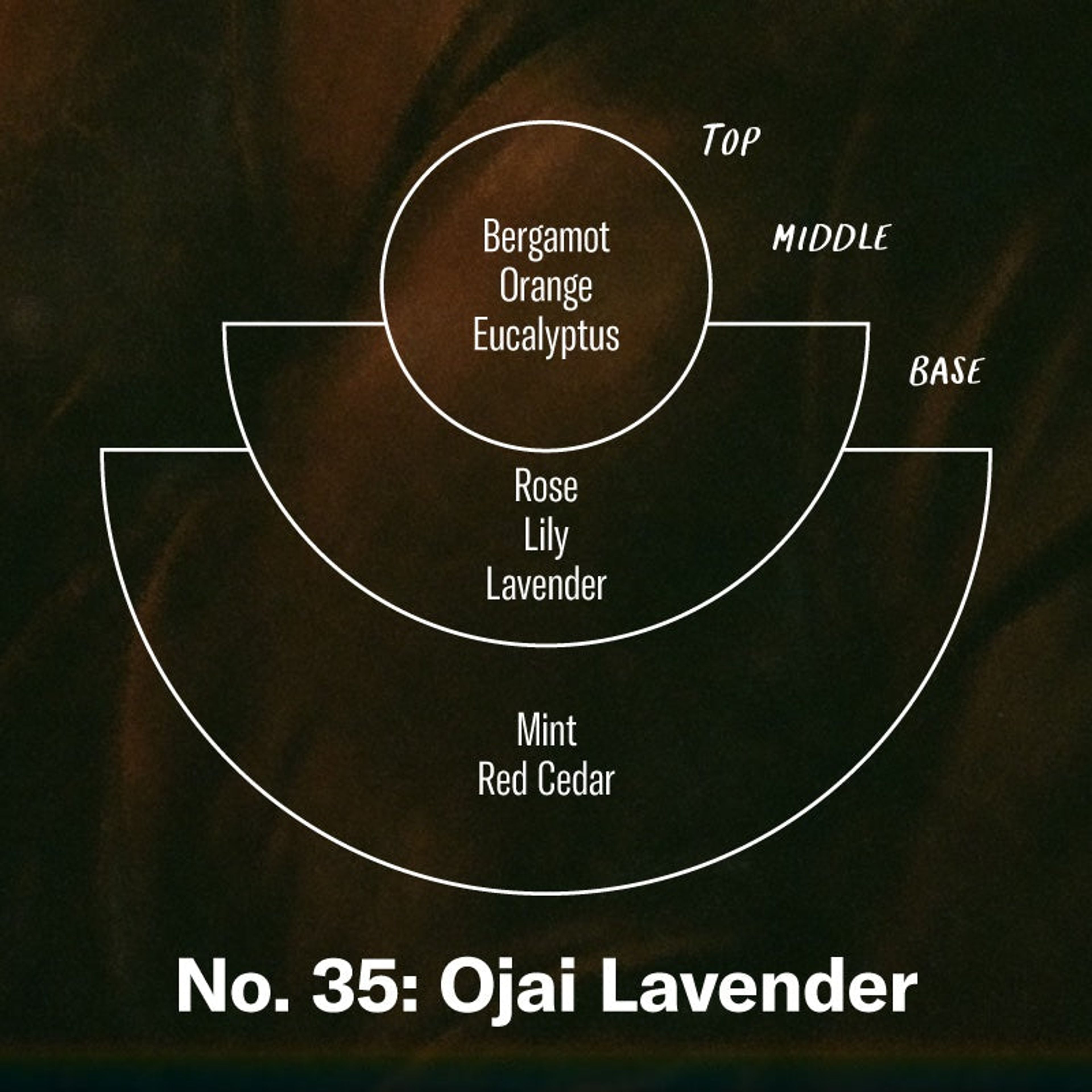 Ojai Lavender– Standard Candle