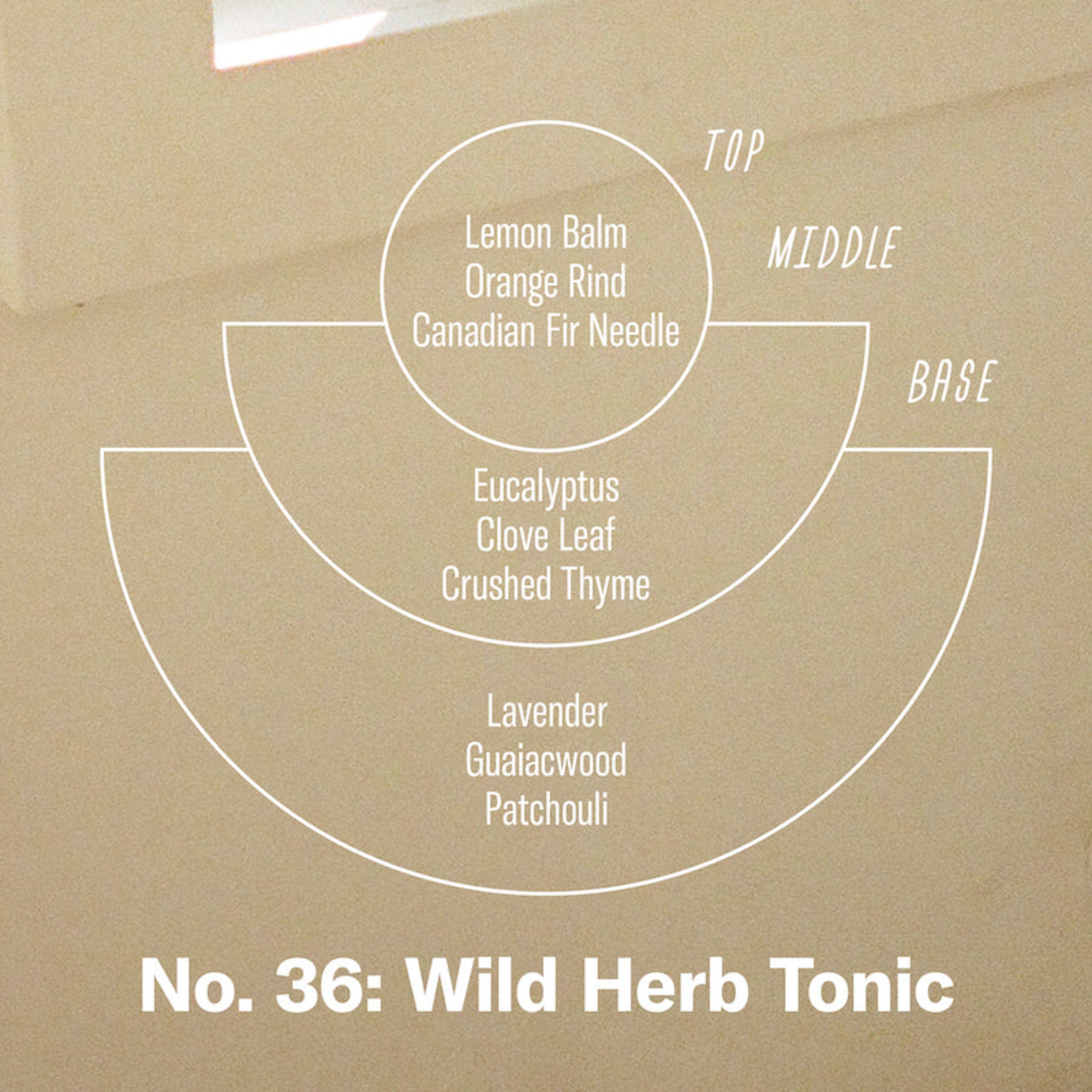 Wild Herb Tonic– Reed Diffuser