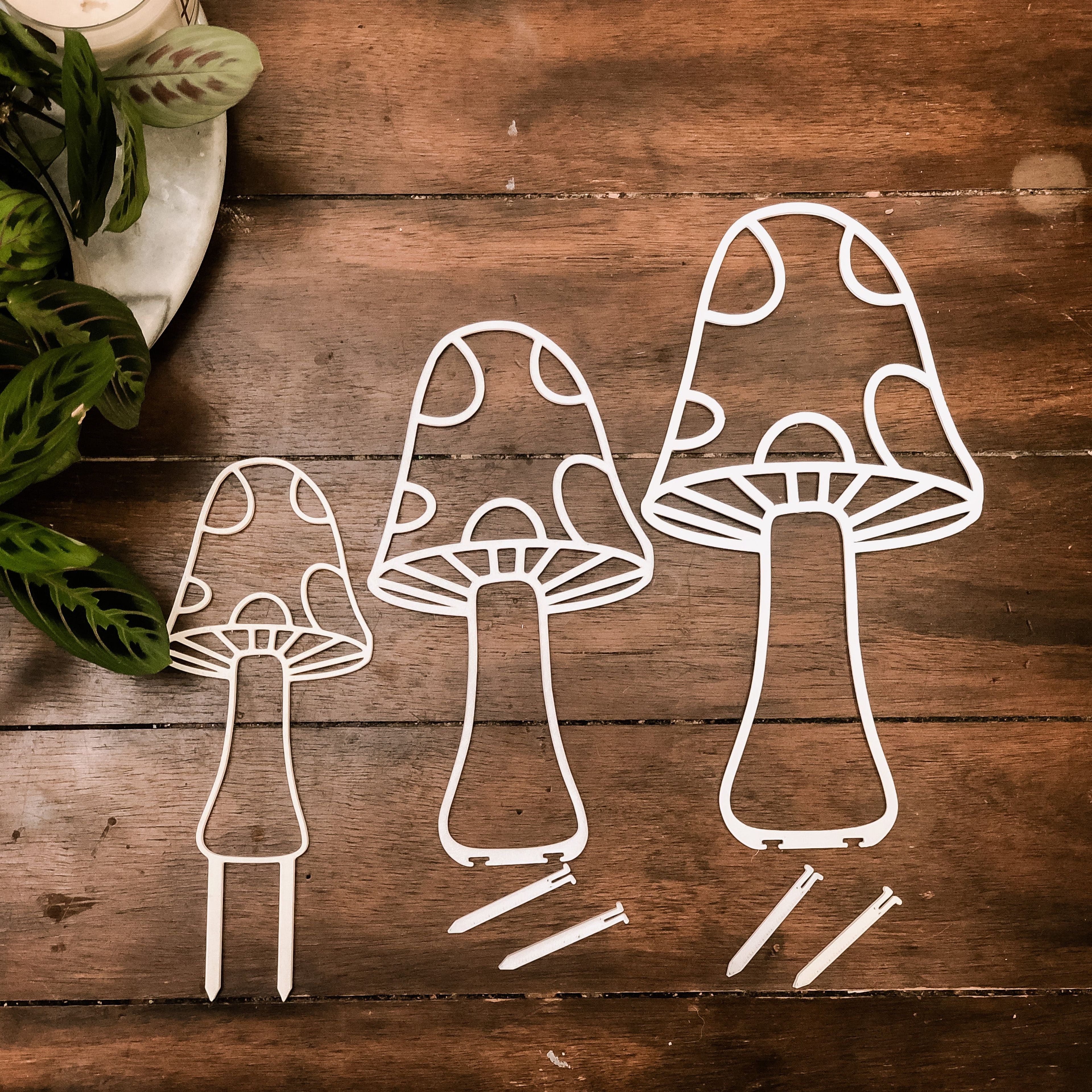 Mushroom Indoor Houseplant Trellis