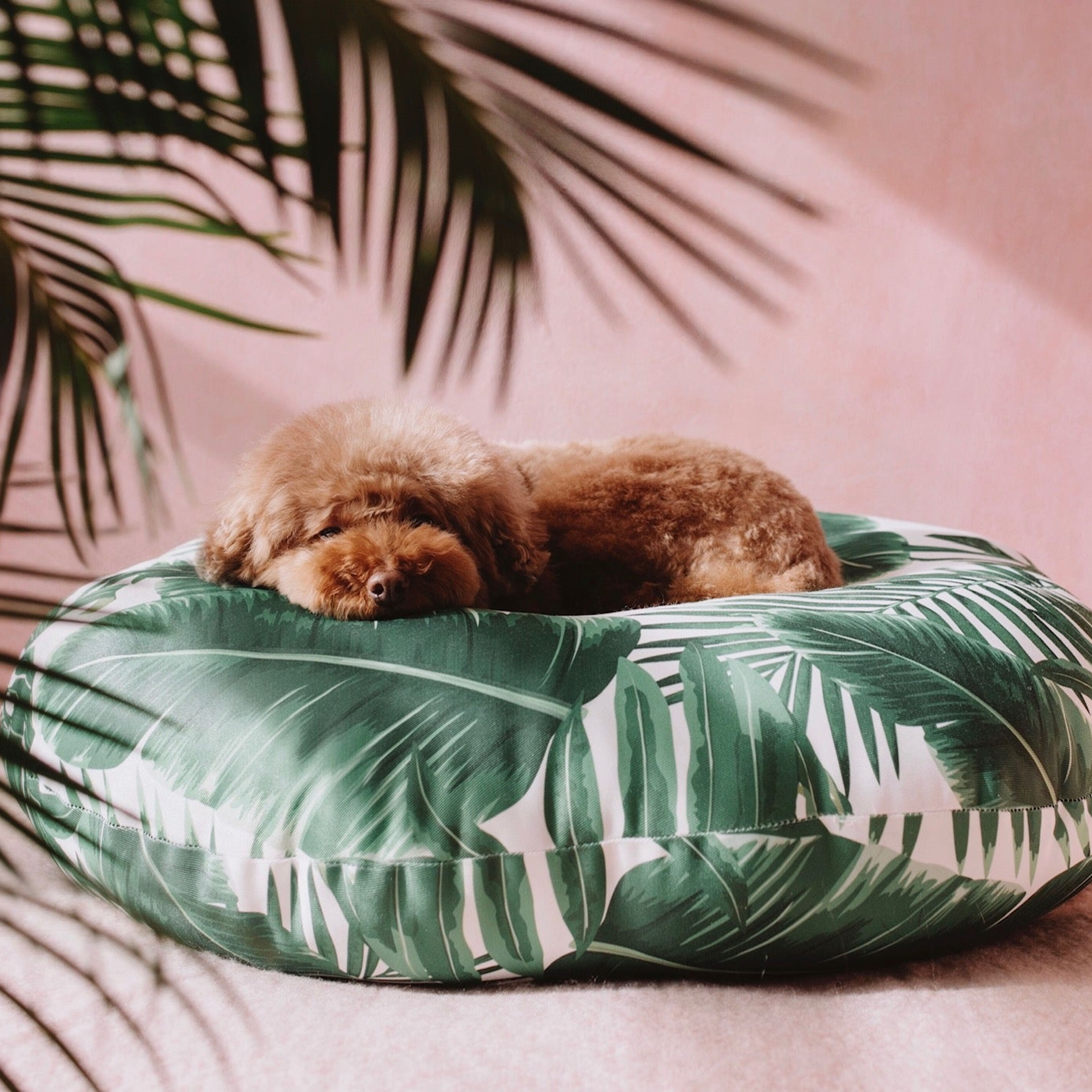 Tropical Lounge Bed