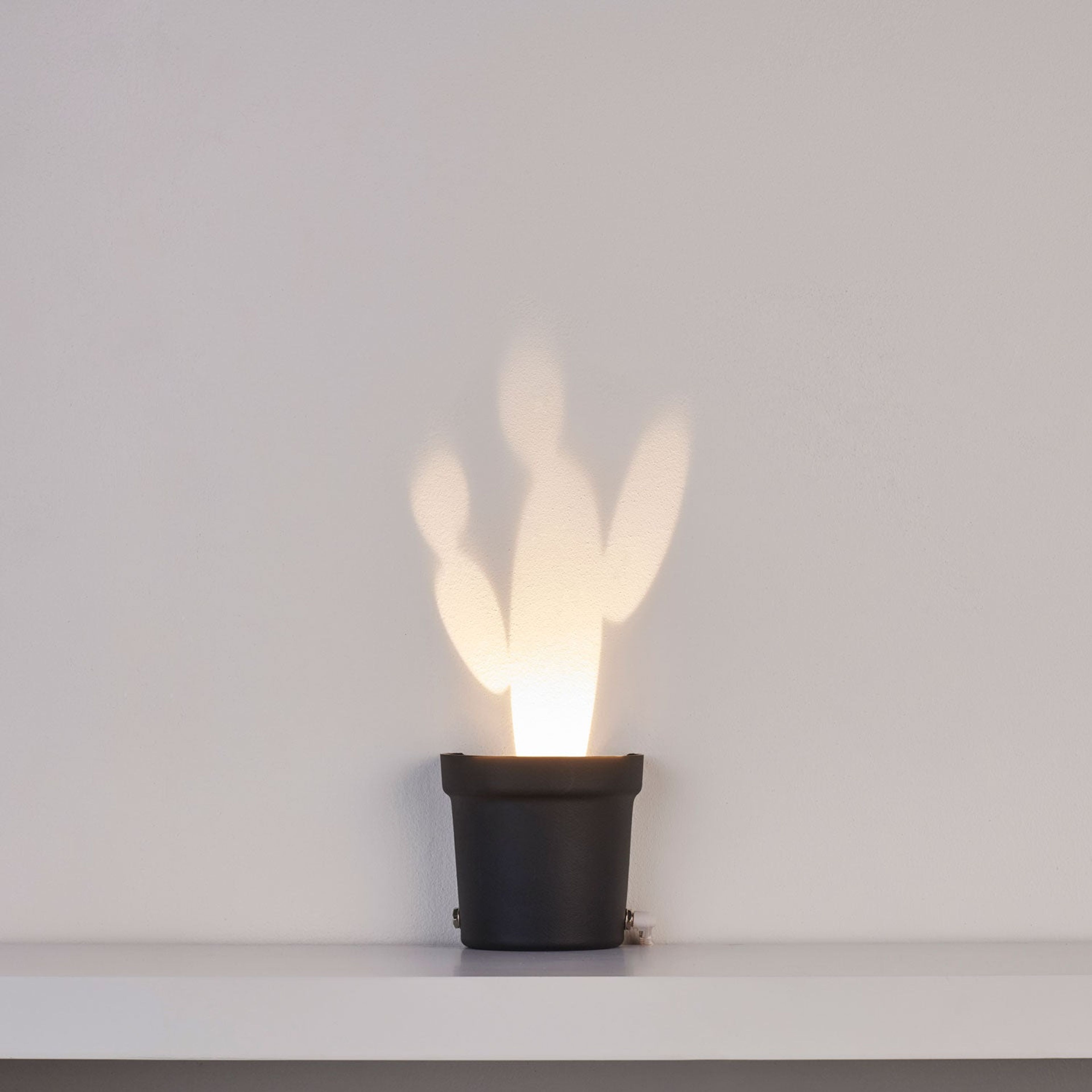 A Single Lamp Made Plastic Containing 3 Different Cactus Shapes