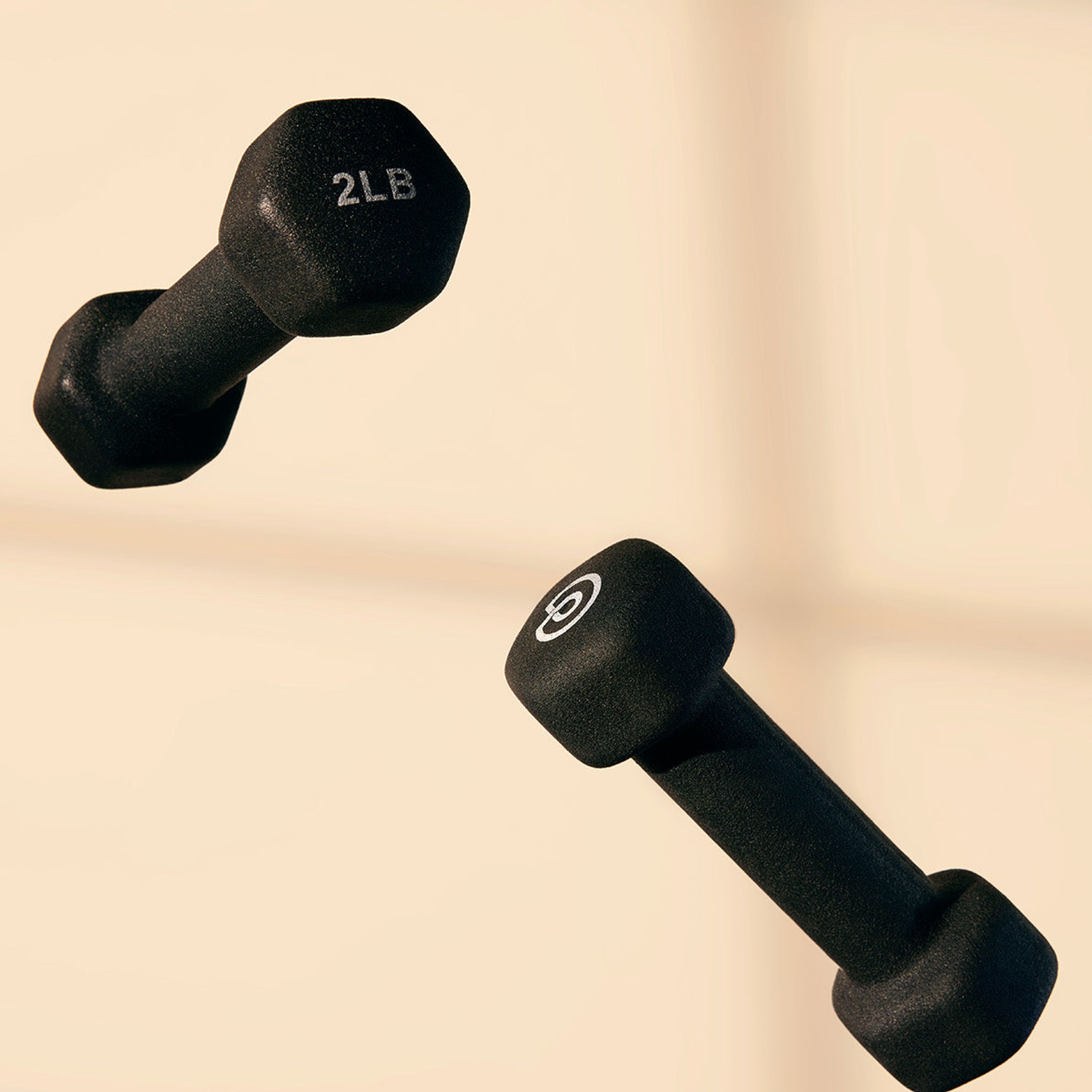 2 lb Hand Weights