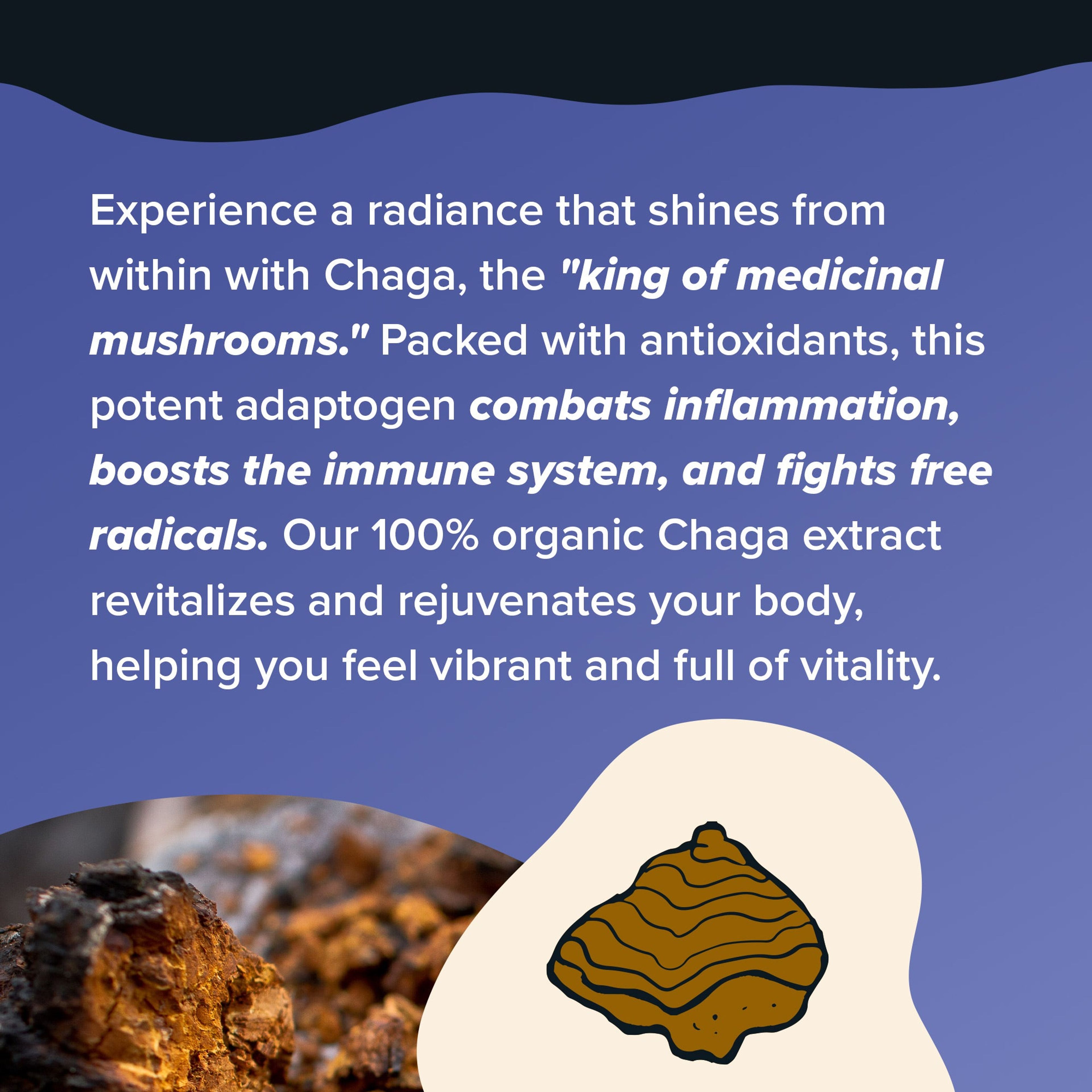 Chaga Mushroom Powder Extract