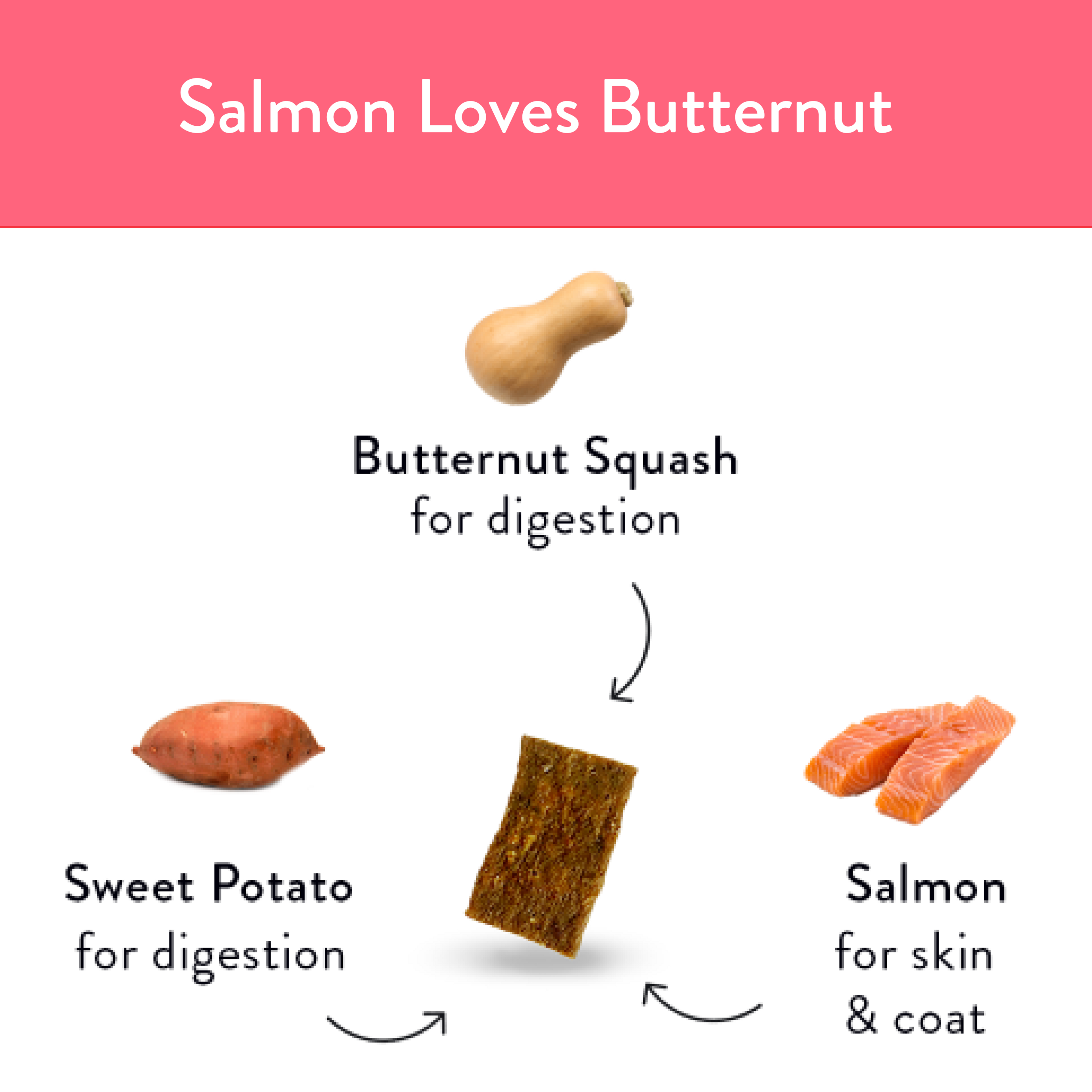 Salmon Loves Butternut Jerky Bites