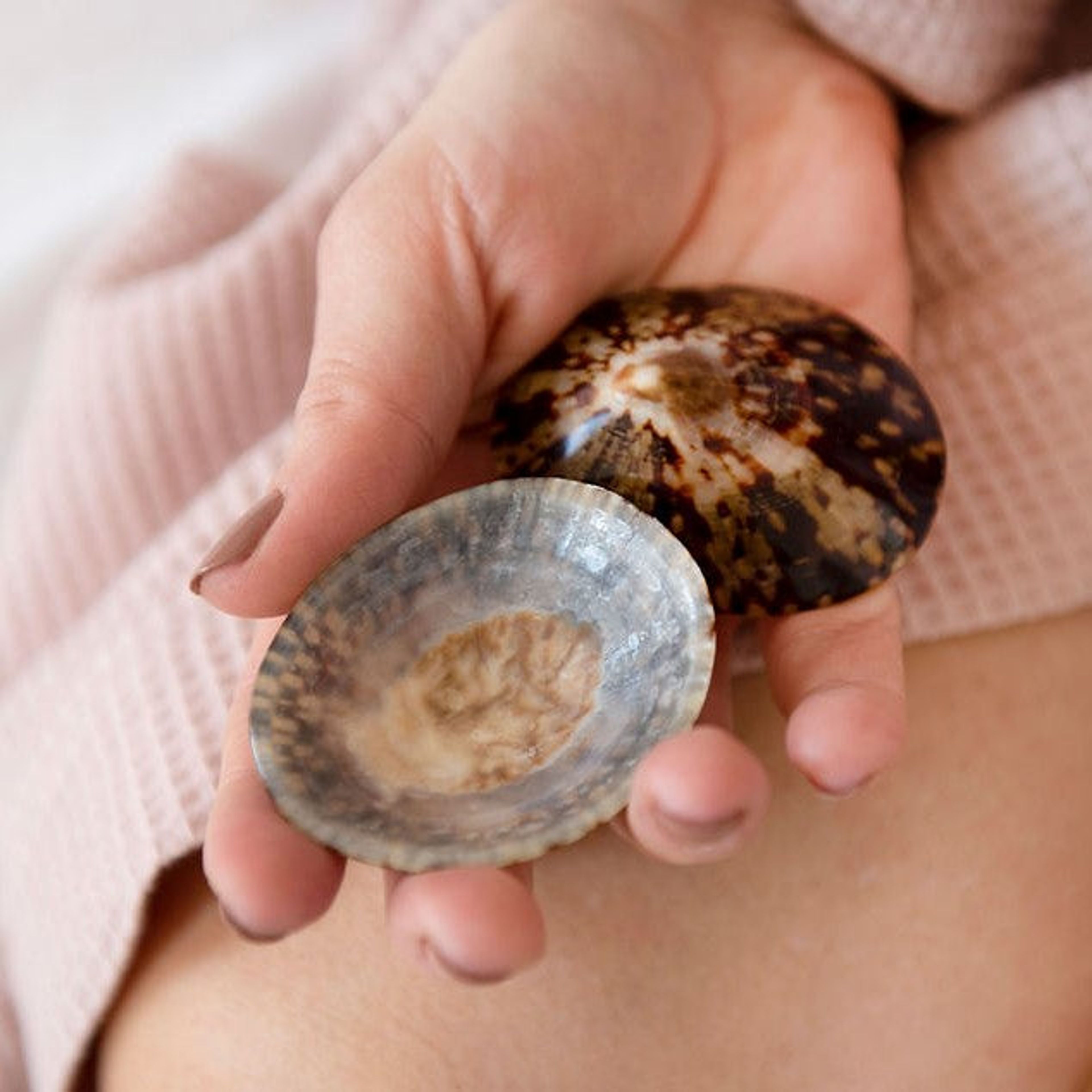 Breastfeeding Seashells