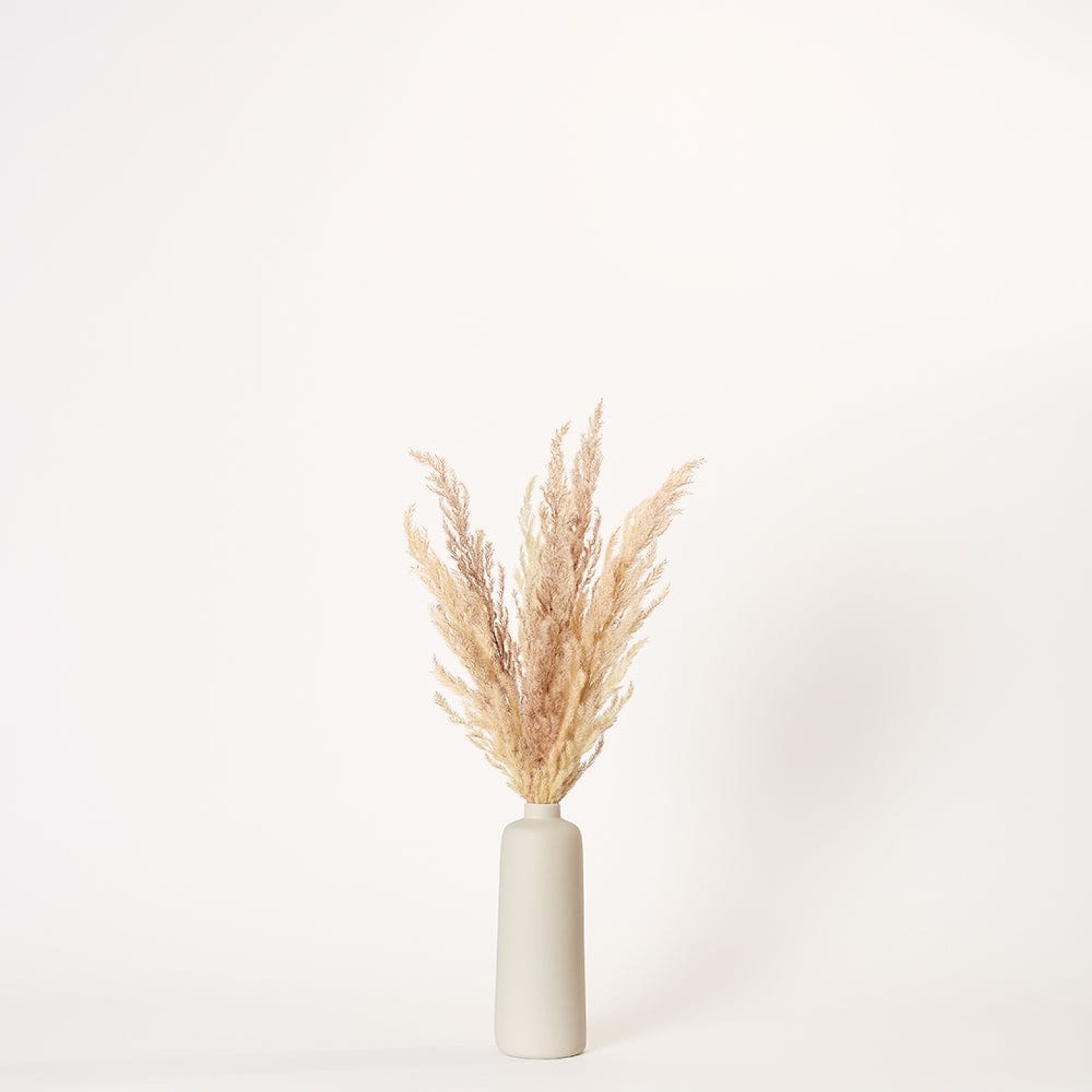 Natural Pampas - Medium | Ivory Porcelain Vase
