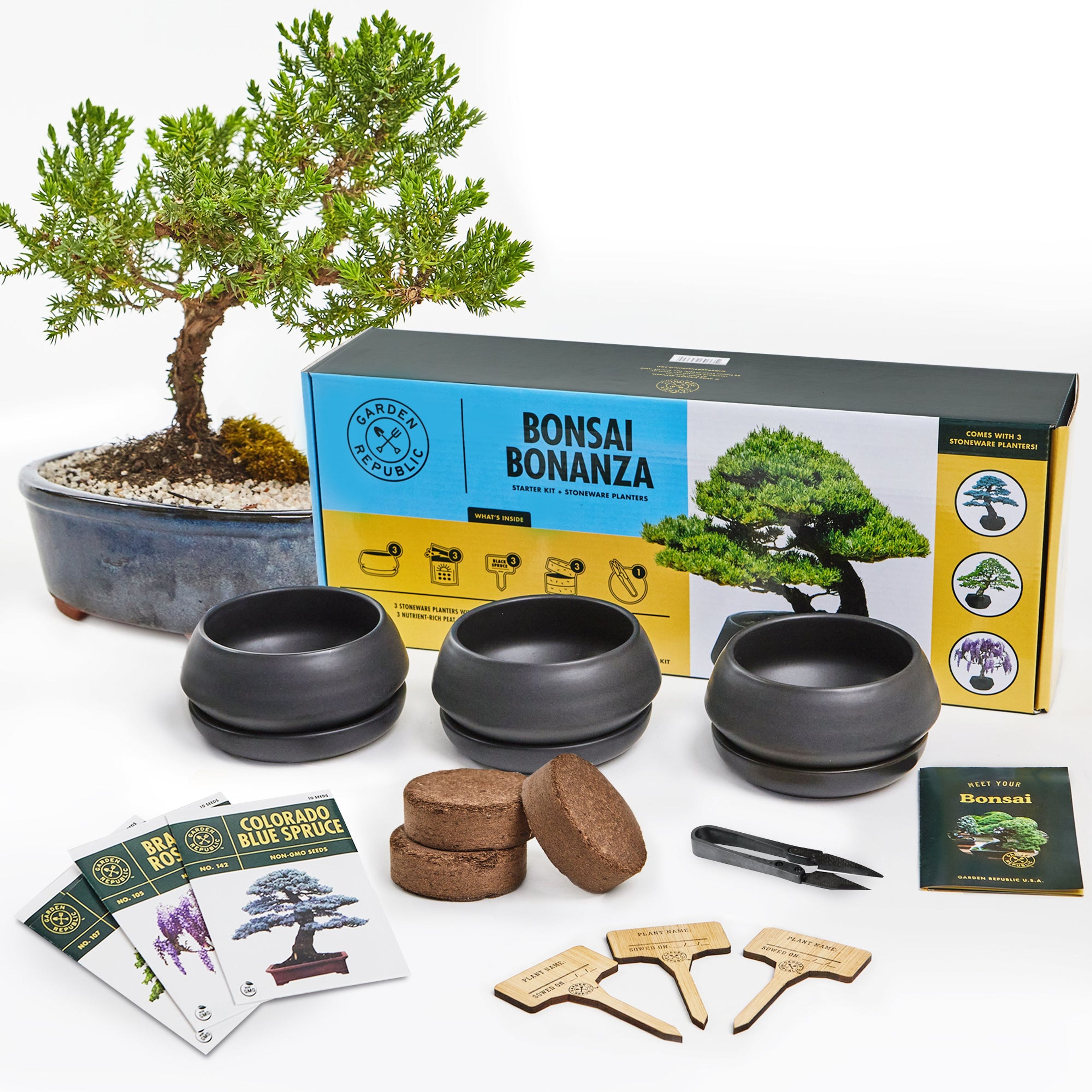 Bonsai Stoneware Starter Kit