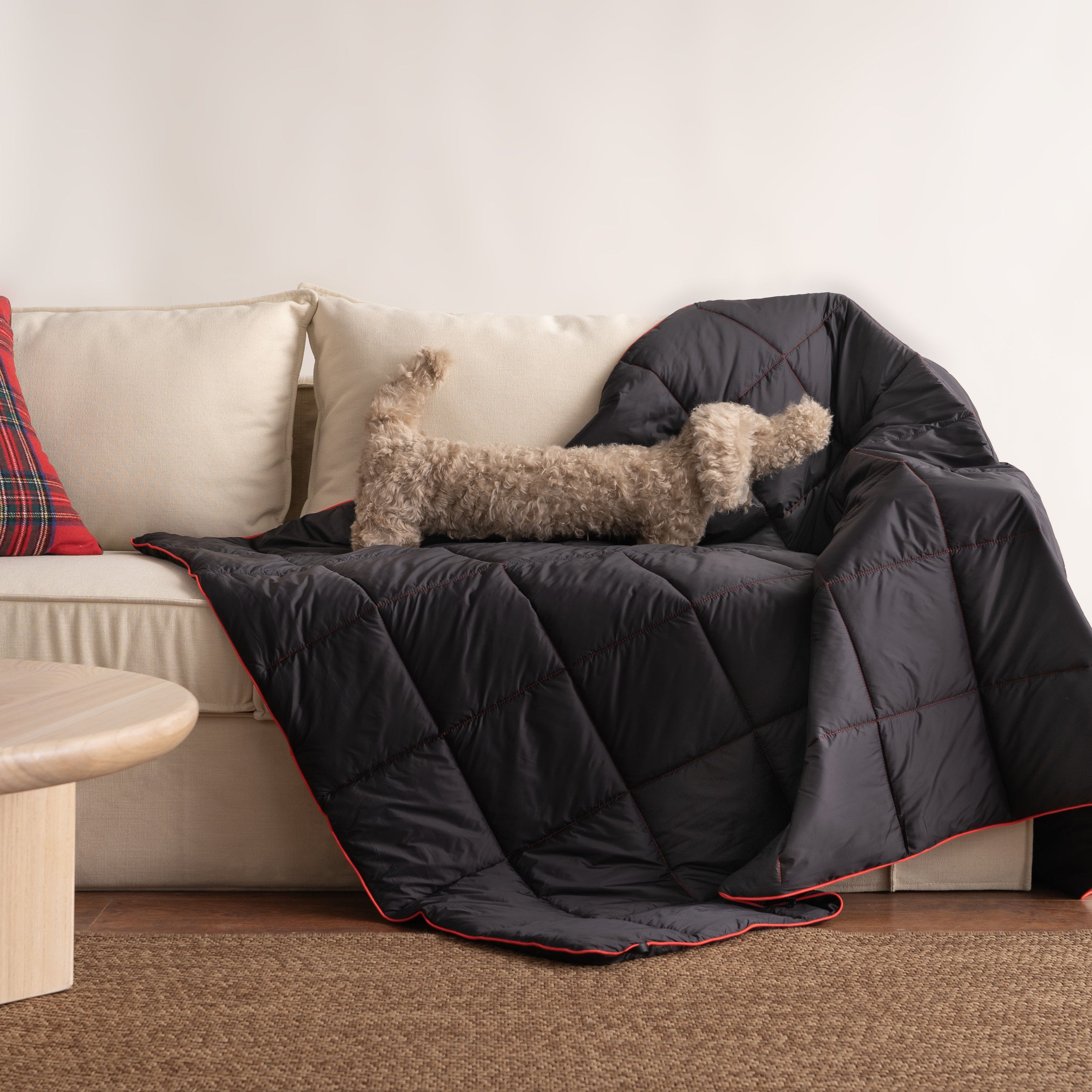 Portable Couch Throw/Blanket – Lightweight and Water-Resistant