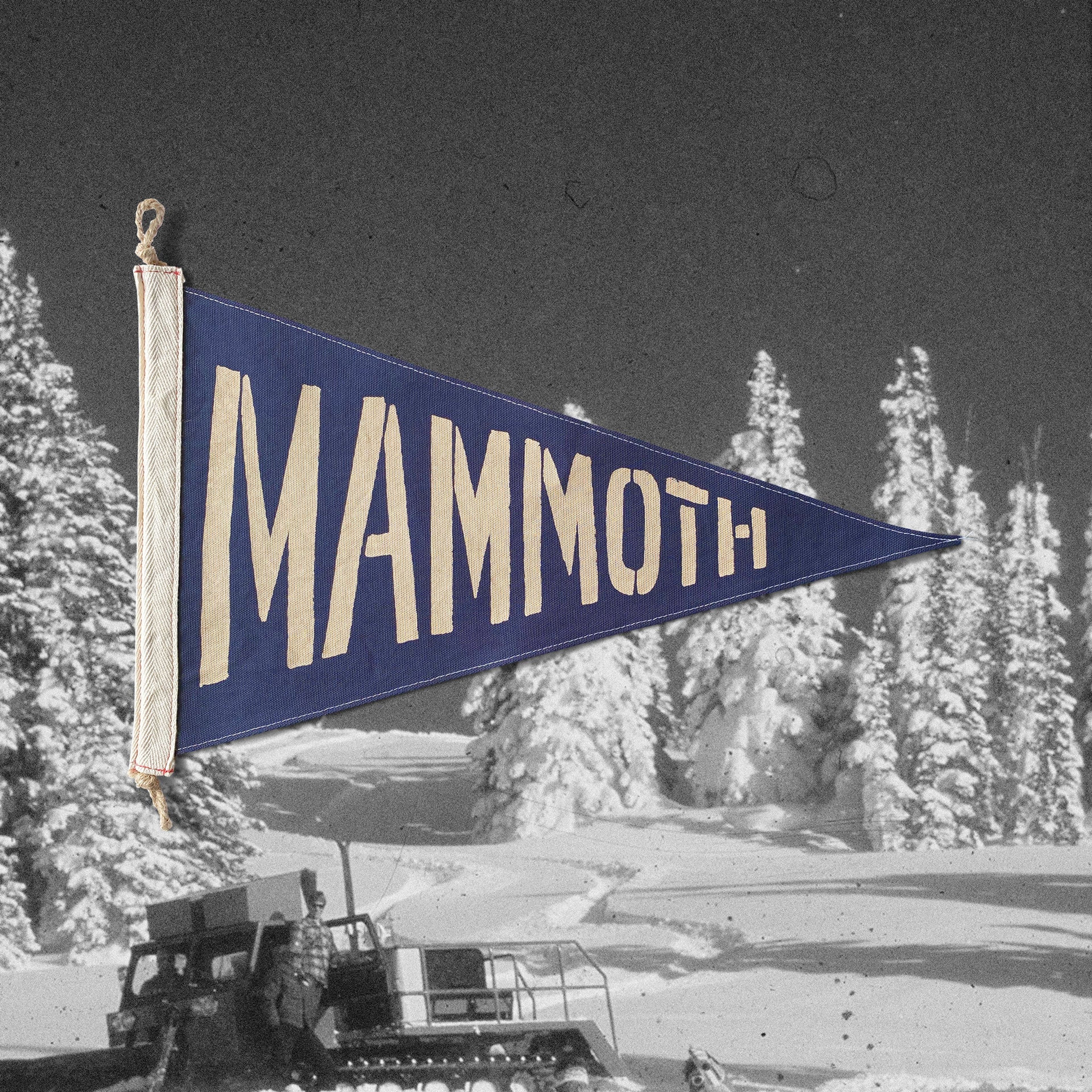Mammoth Flag