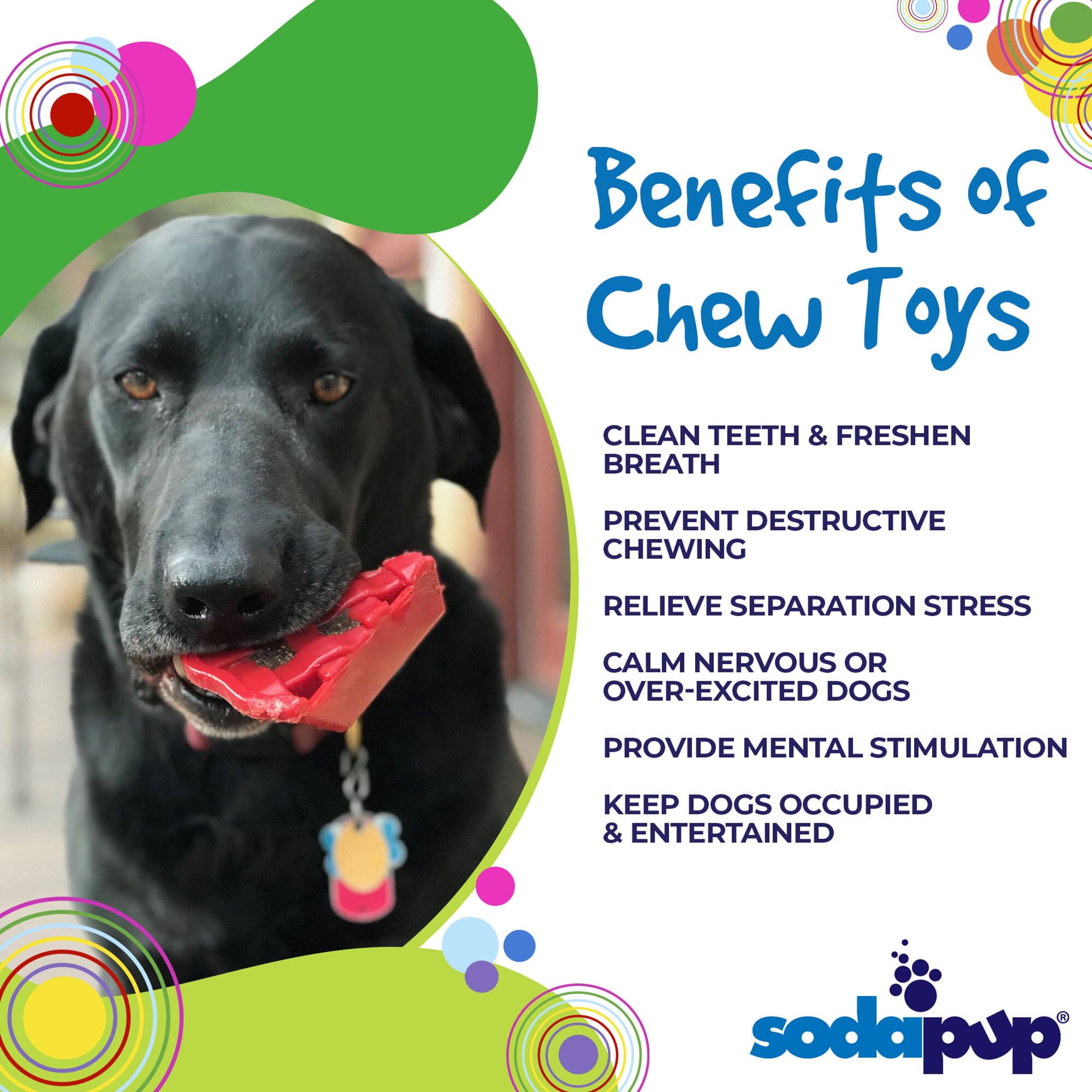 Cherry Pie Ultra Durable Nylon Dog Chew Toy and Treat Holder