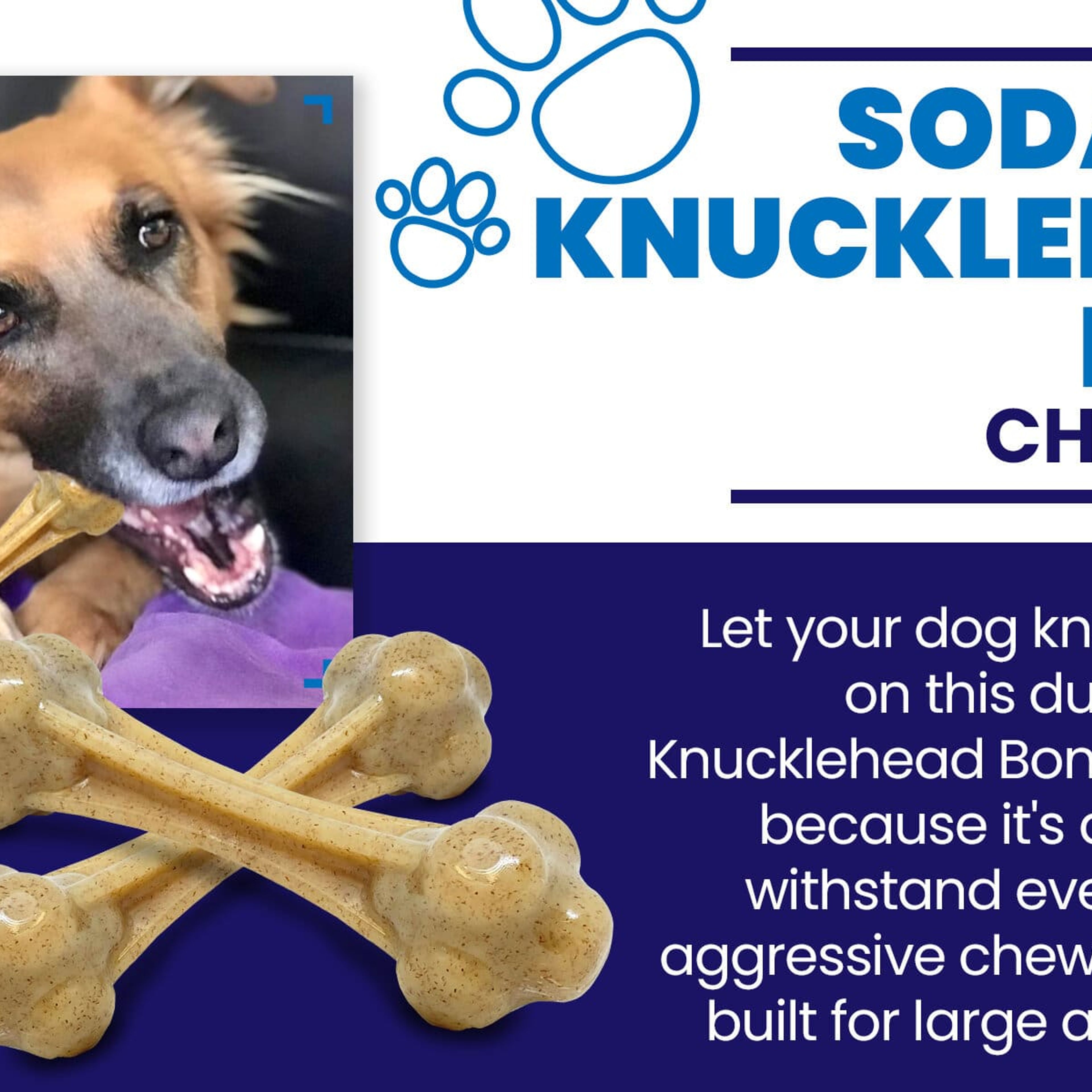 Dog chew 2024 knuckle bone